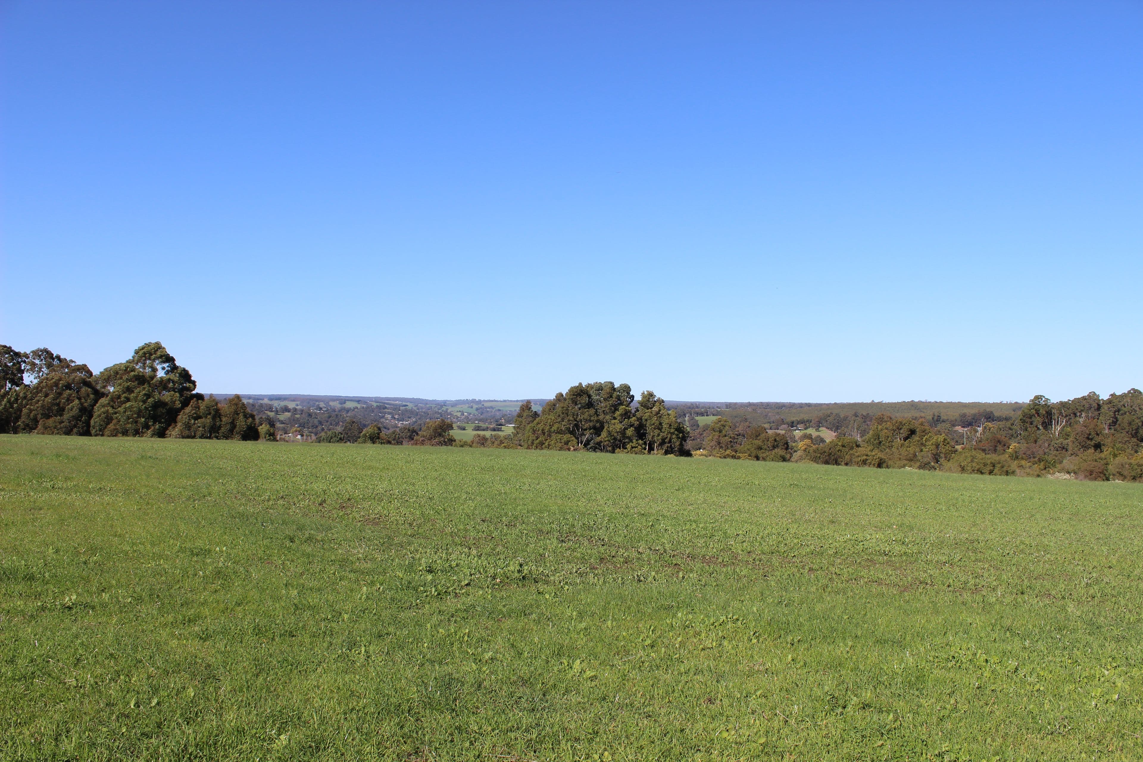 54 Hester Road, Bridgetown WA 6255, Bridgetown - Thumbnail 2
