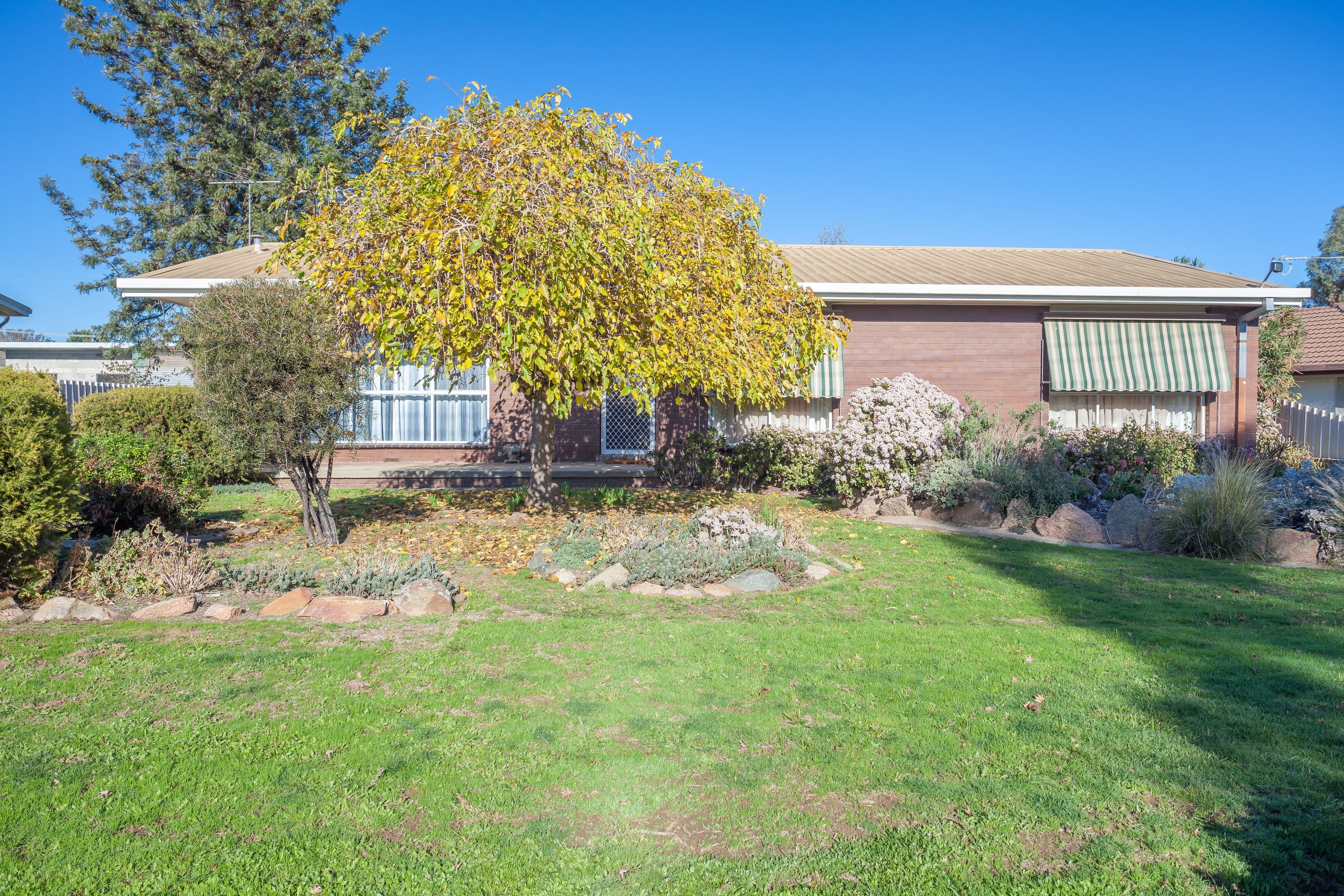 29 Douglas Street, Rutherglen VIC 3685, Rutherglen - Thumbnail 5