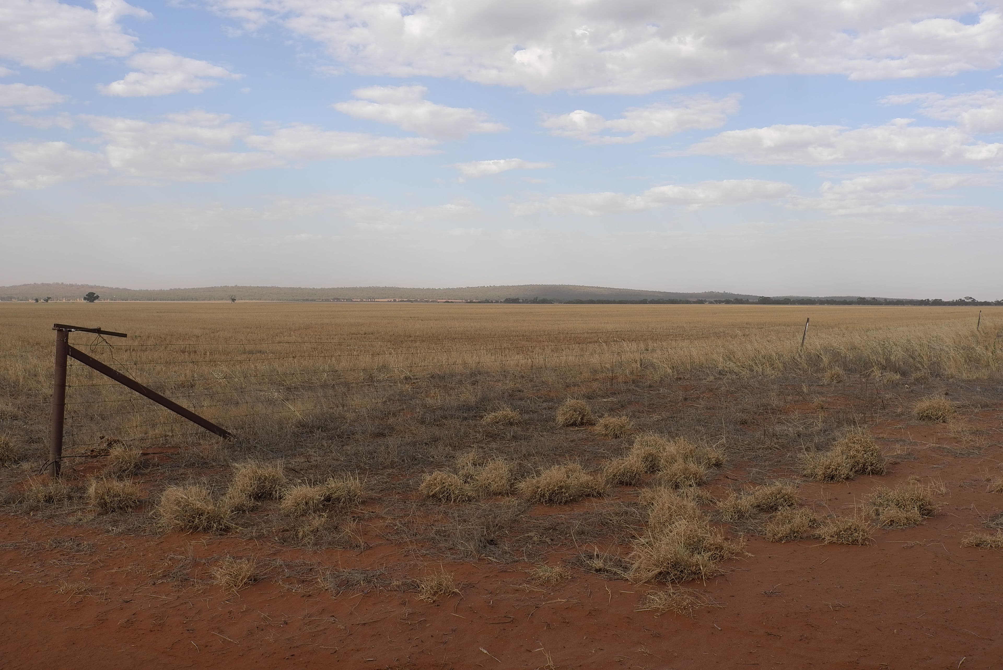 Heaths Road, Boorga NSW 2652, Boorga - Thumbnail 8