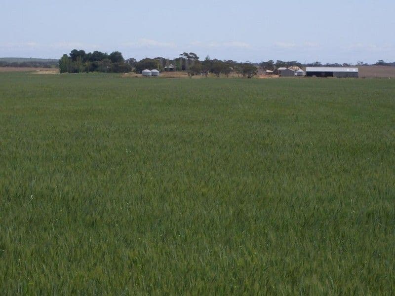 3803 Goondoloo Road, Halidon SA 5309, Halidon - Thumbnail 7