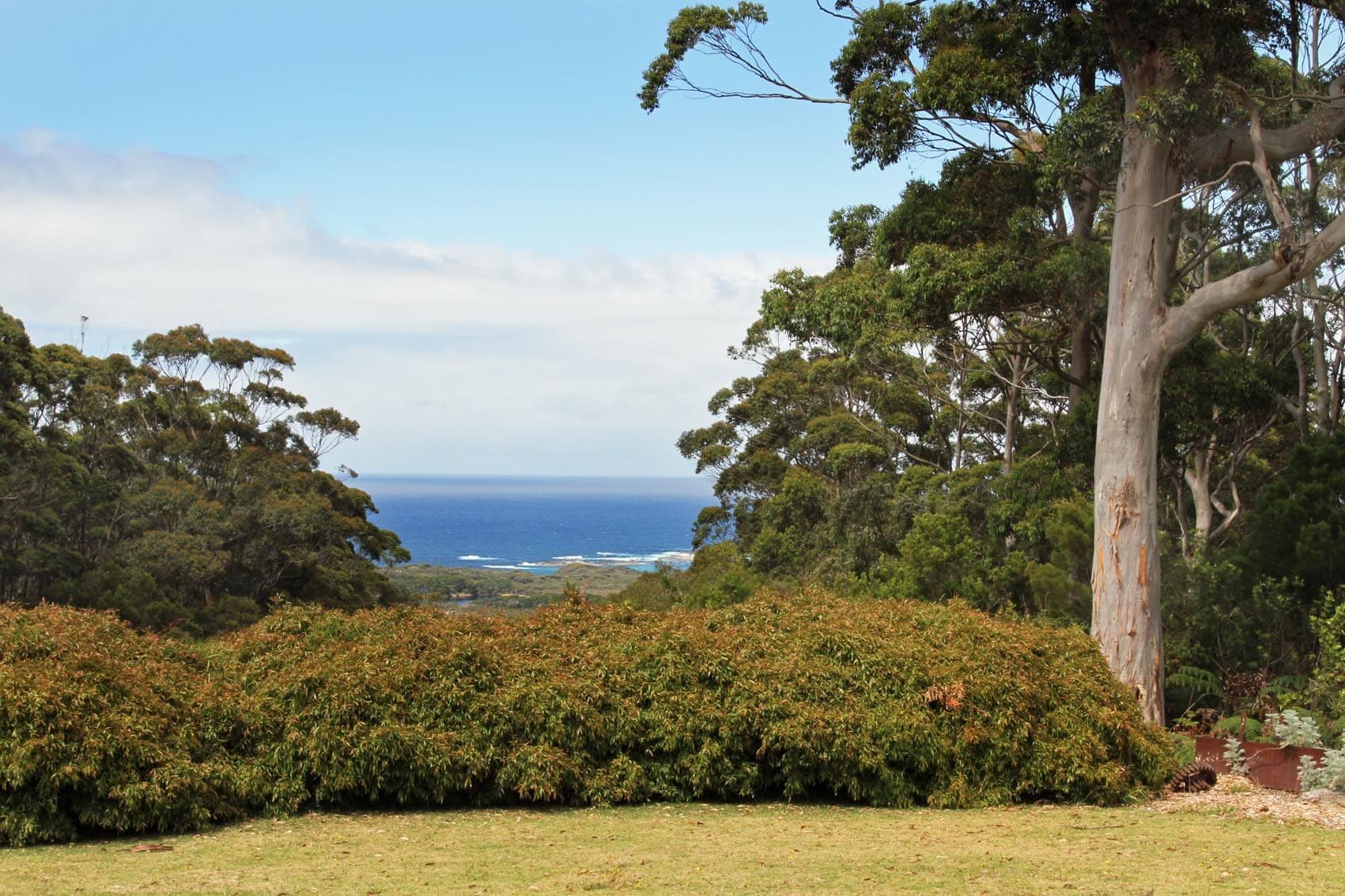 626 Lights Road, Denmark WA 6333, Denmark - Thumbnail 2