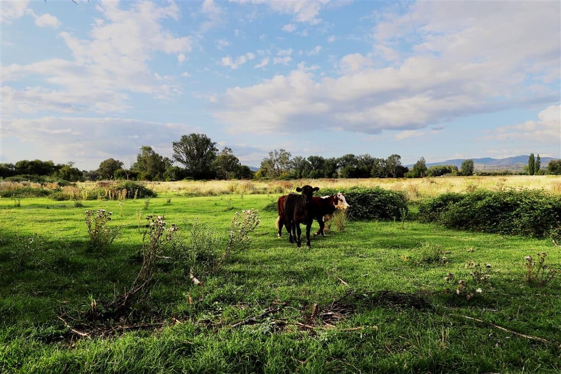 "Brymay" Lot 8 Tumut Plains Road, Tumut NSW 2720, Tumut - Thumbnail 5