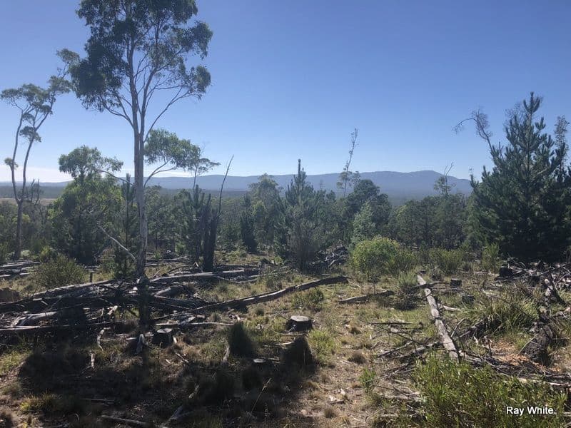 Lot 94 Back Creek Road, Braidwood NSW 2622, Braidwood - Thumbnail 4
