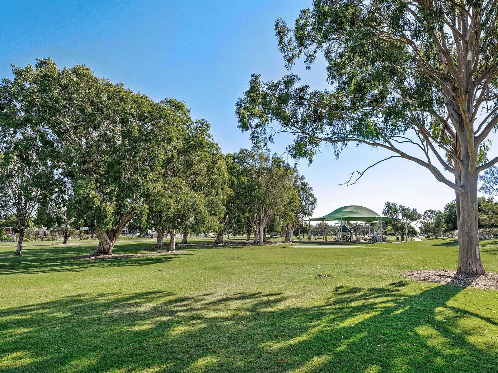 65 O'Quinn Street, Nudgee Beach QLD 4014, Nudgee Beach - Thumbnail 6
