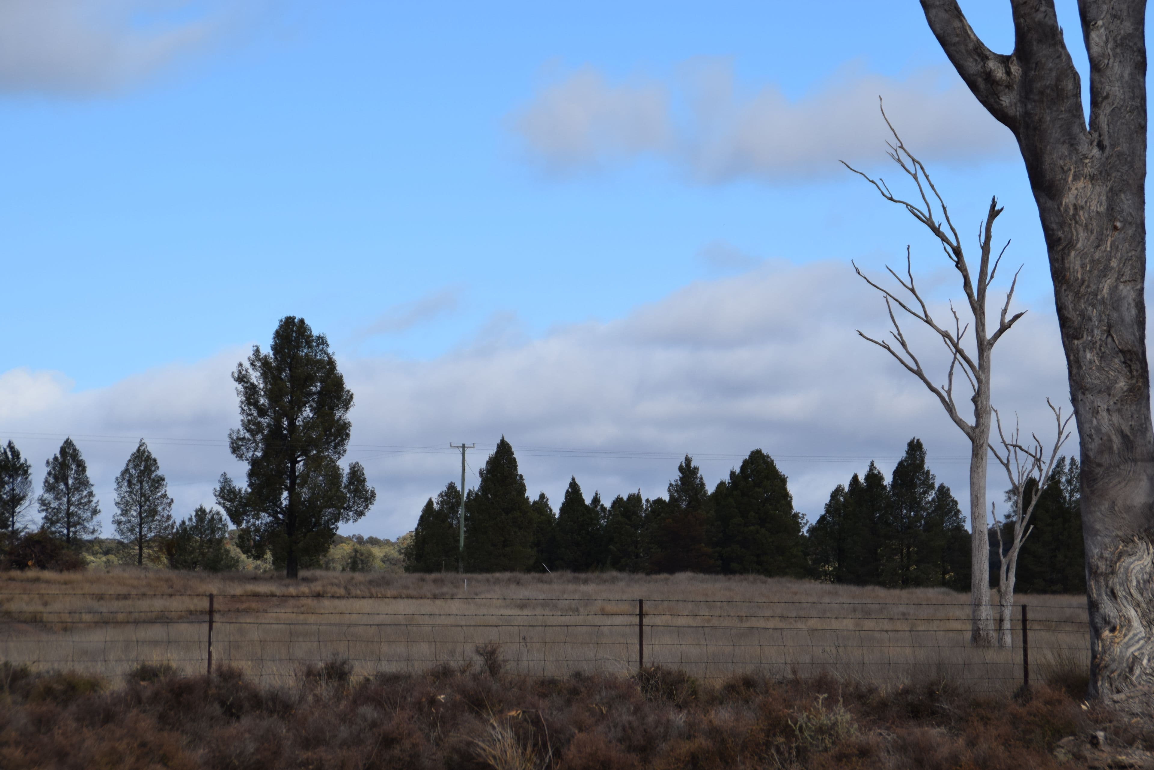 10R Buddens Road, Dubbo NSW 2830, Dubbo - Thumbnail 7