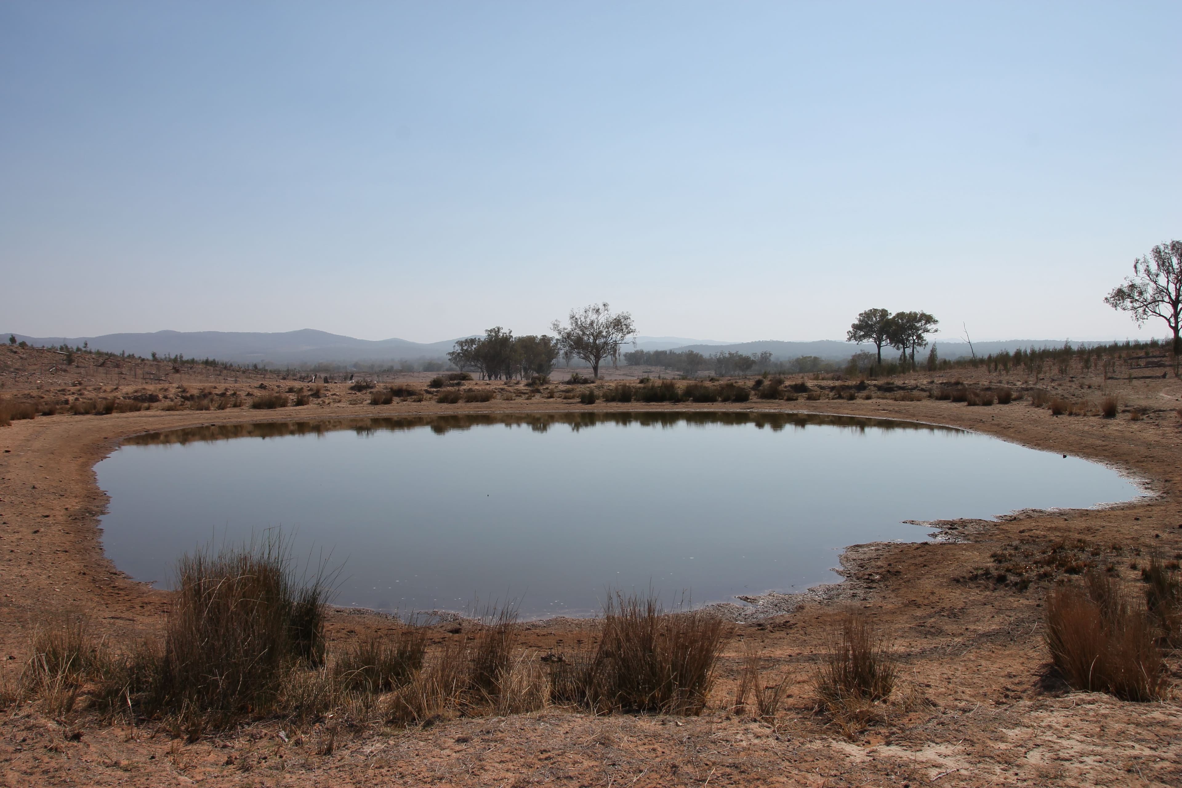 GREENUP QLD 4387, Greenup - Thumbnail 2