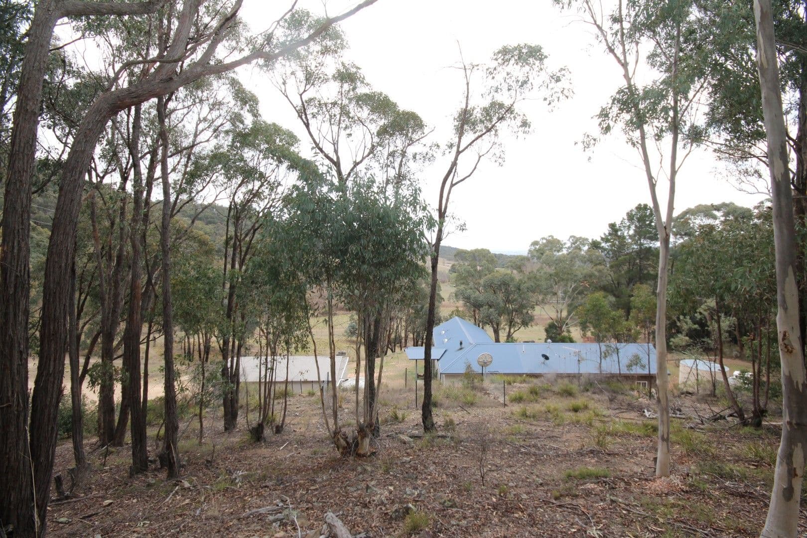 1501 O'Connell Road, O'Connell NSW 2795, O'Connell - Thumbnail 5