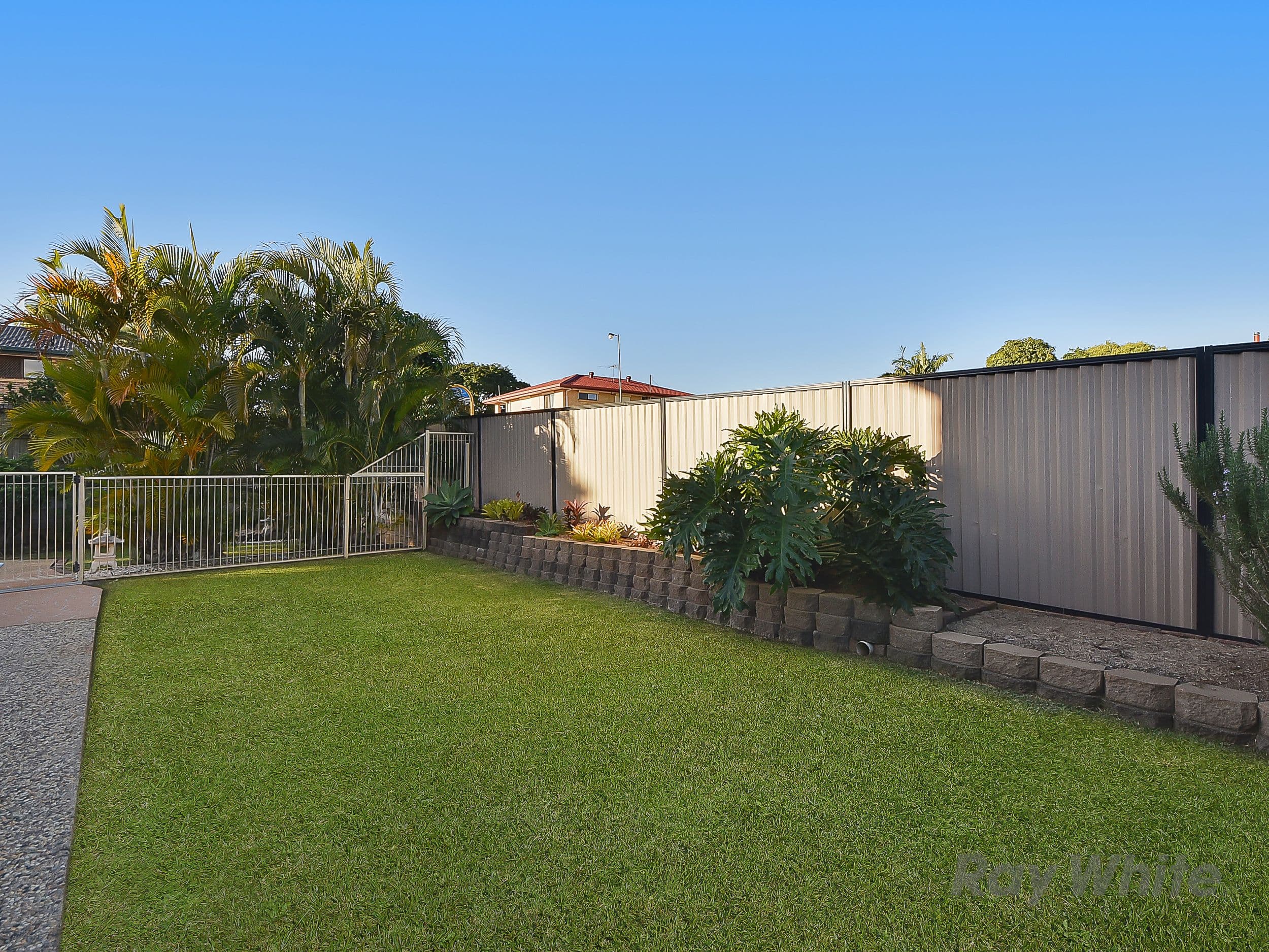 3 Killare Street, Bracken Ridge QLD 4017, Bracken Ridge - Thumbnail 4