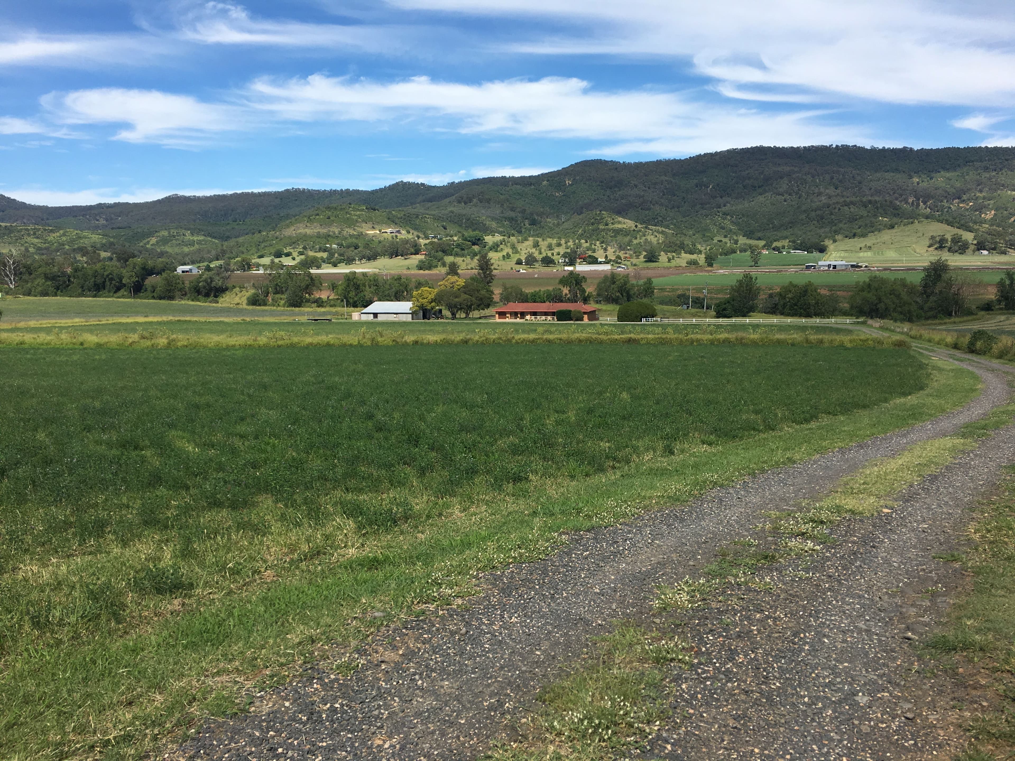 356 Ingoldsby Road, Upper Tenthill QLD 4343, Upper Tenthill - Thumbnail 3