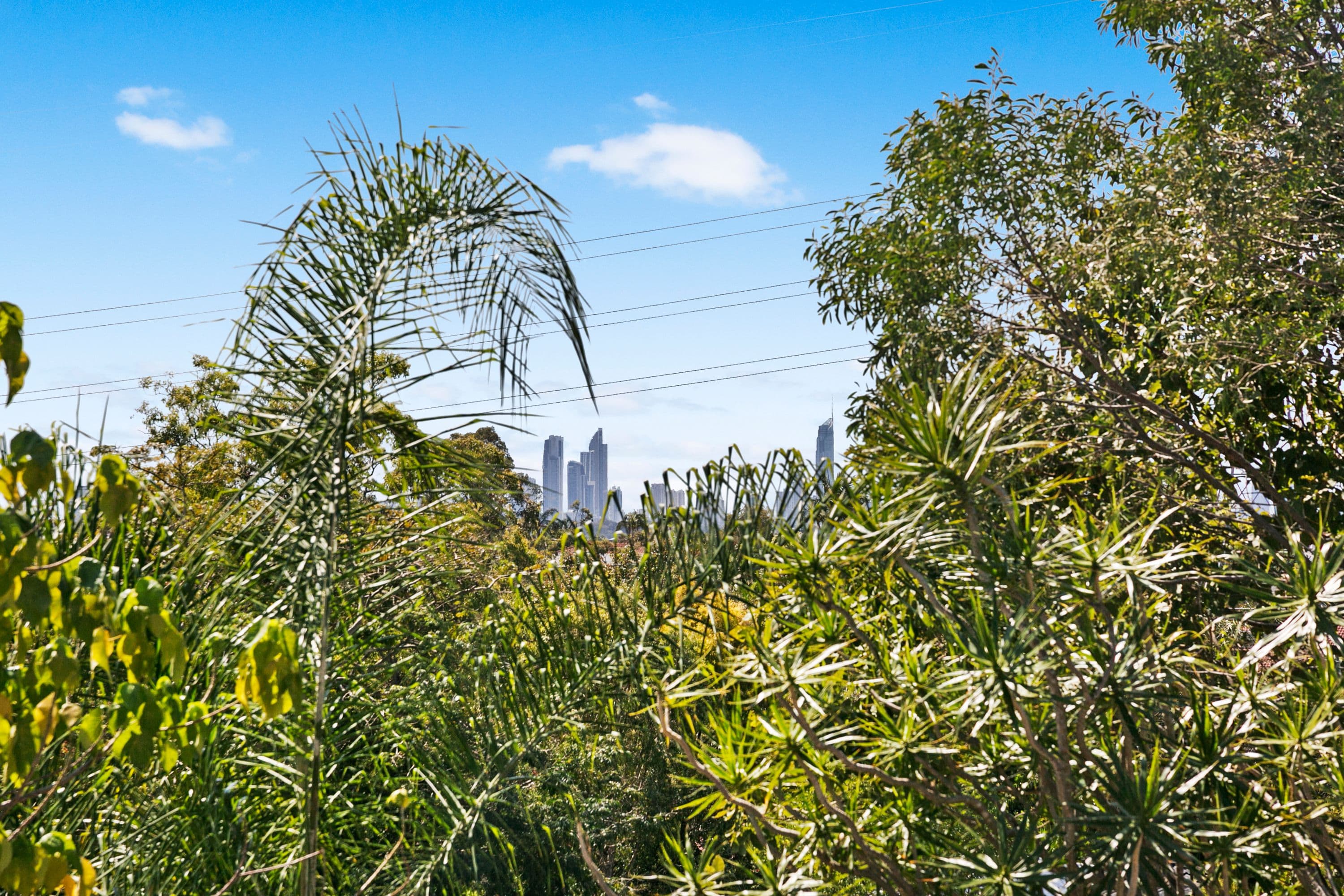 124 Explorers Way, Highland Park QLD 4211, Highland Park - Thumbnail 6
