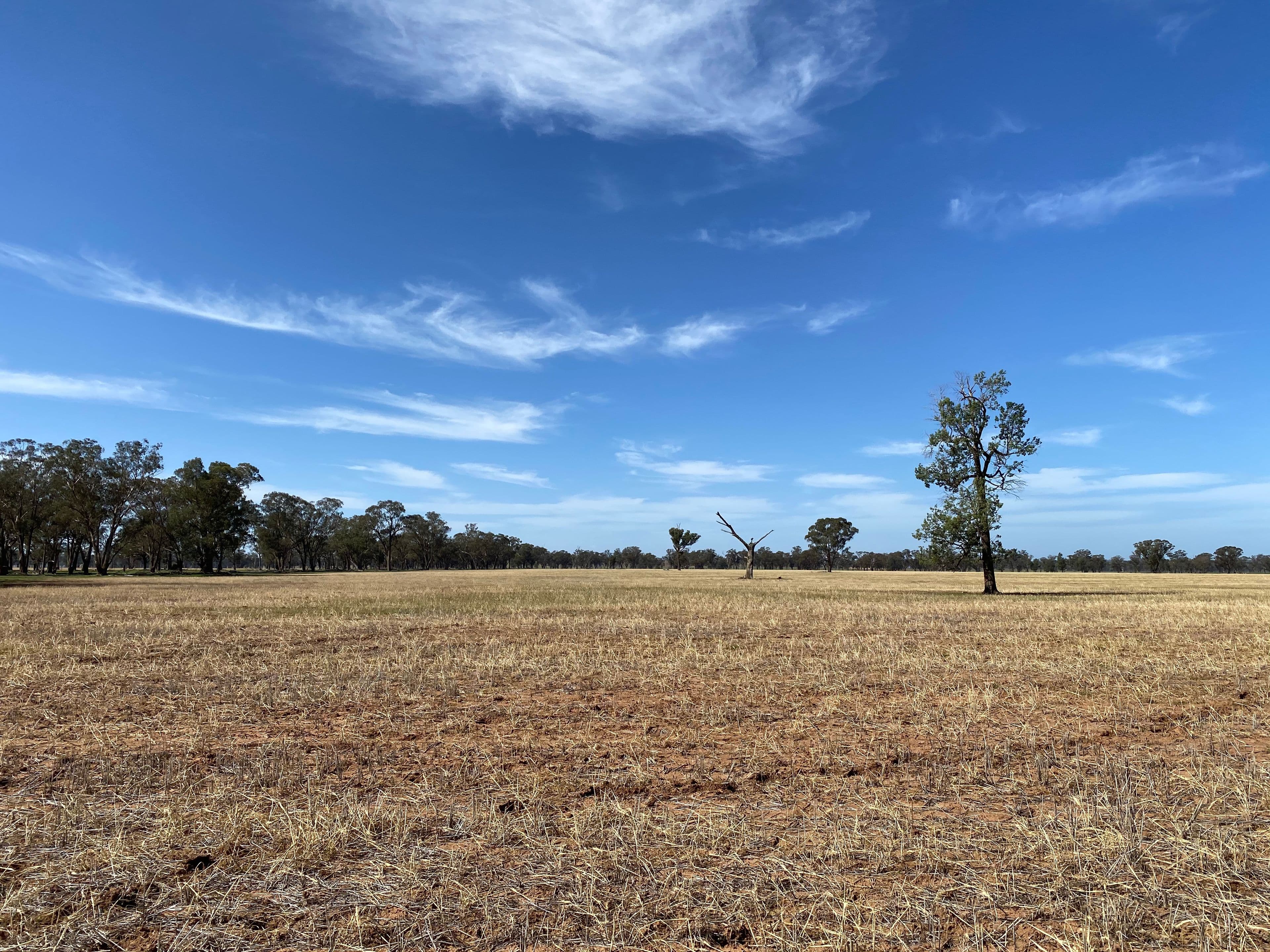 Young NSW 2594, Young - Thumbnail 5