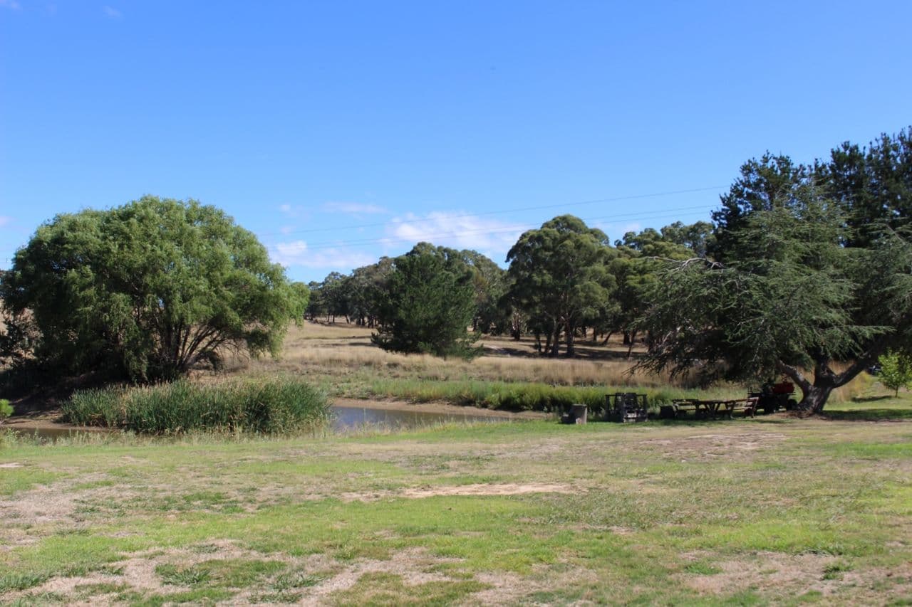 2432 Mitchell Highway, Vittoria NSW 2799, Vittoria - Thumbnail 3
