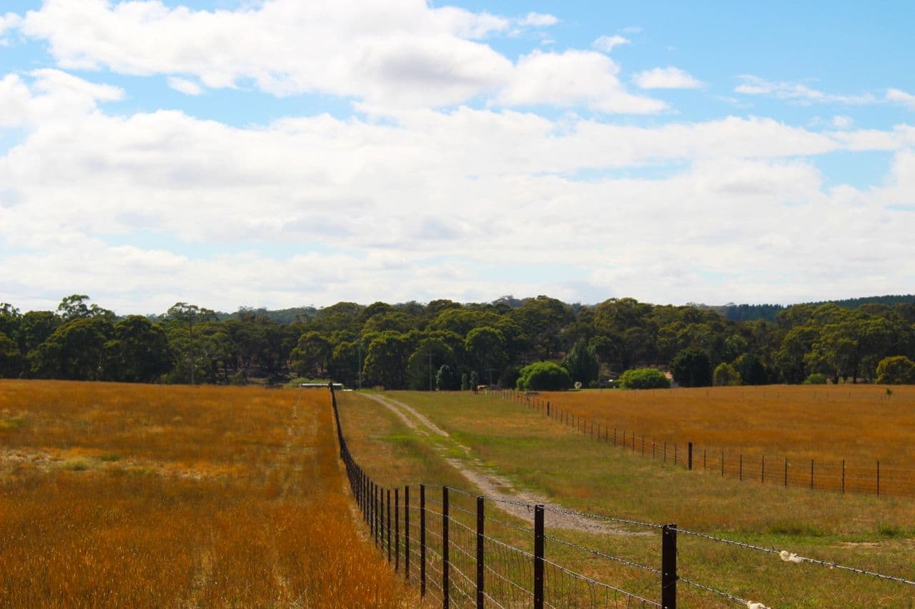 2432 Mitchell Highway, Vittoria NSW 2799, Vittoria - Thumbnail 4