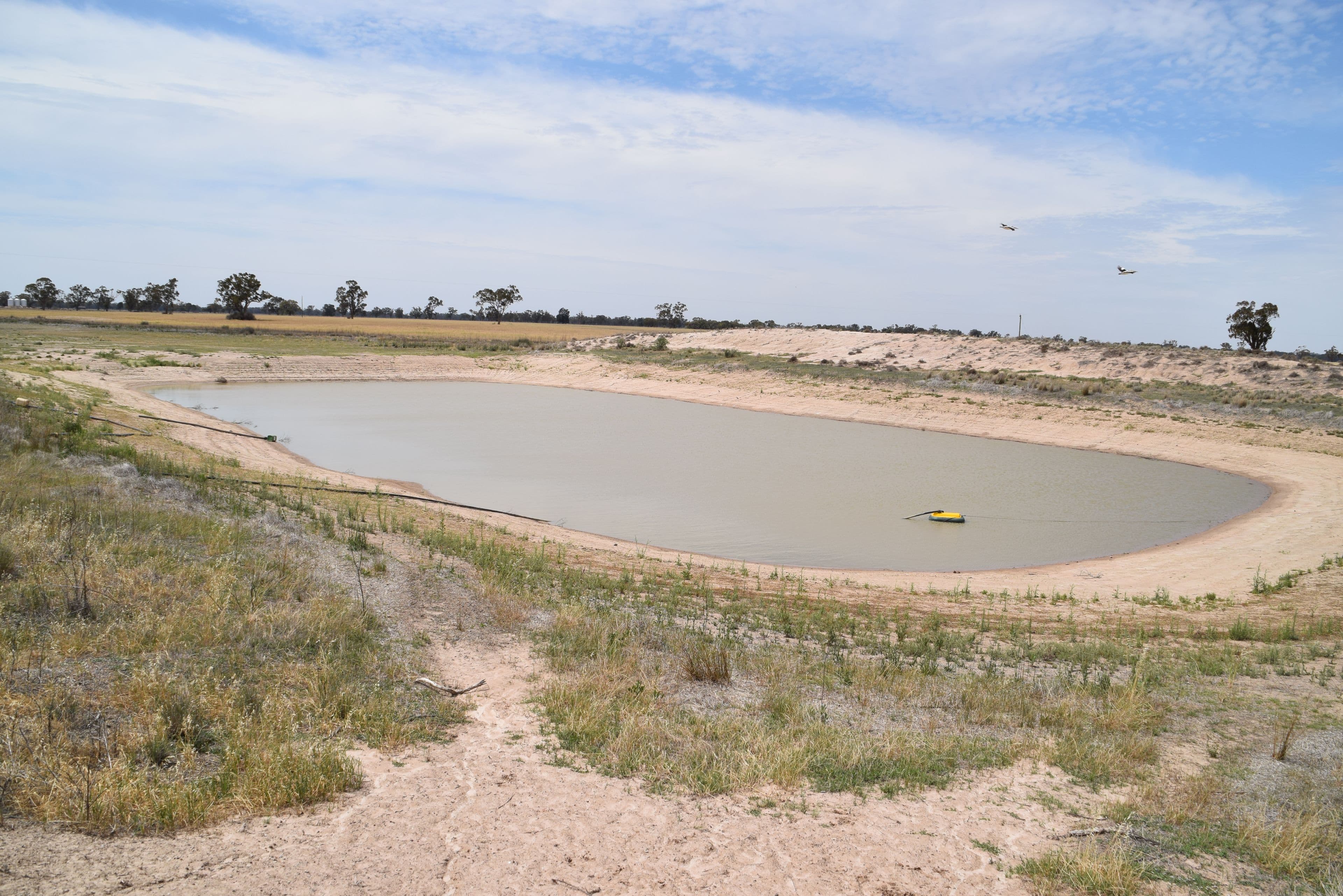 'Ossory' Aggregation, Narromine NSW 2821, Narromine - Thumbnail 6