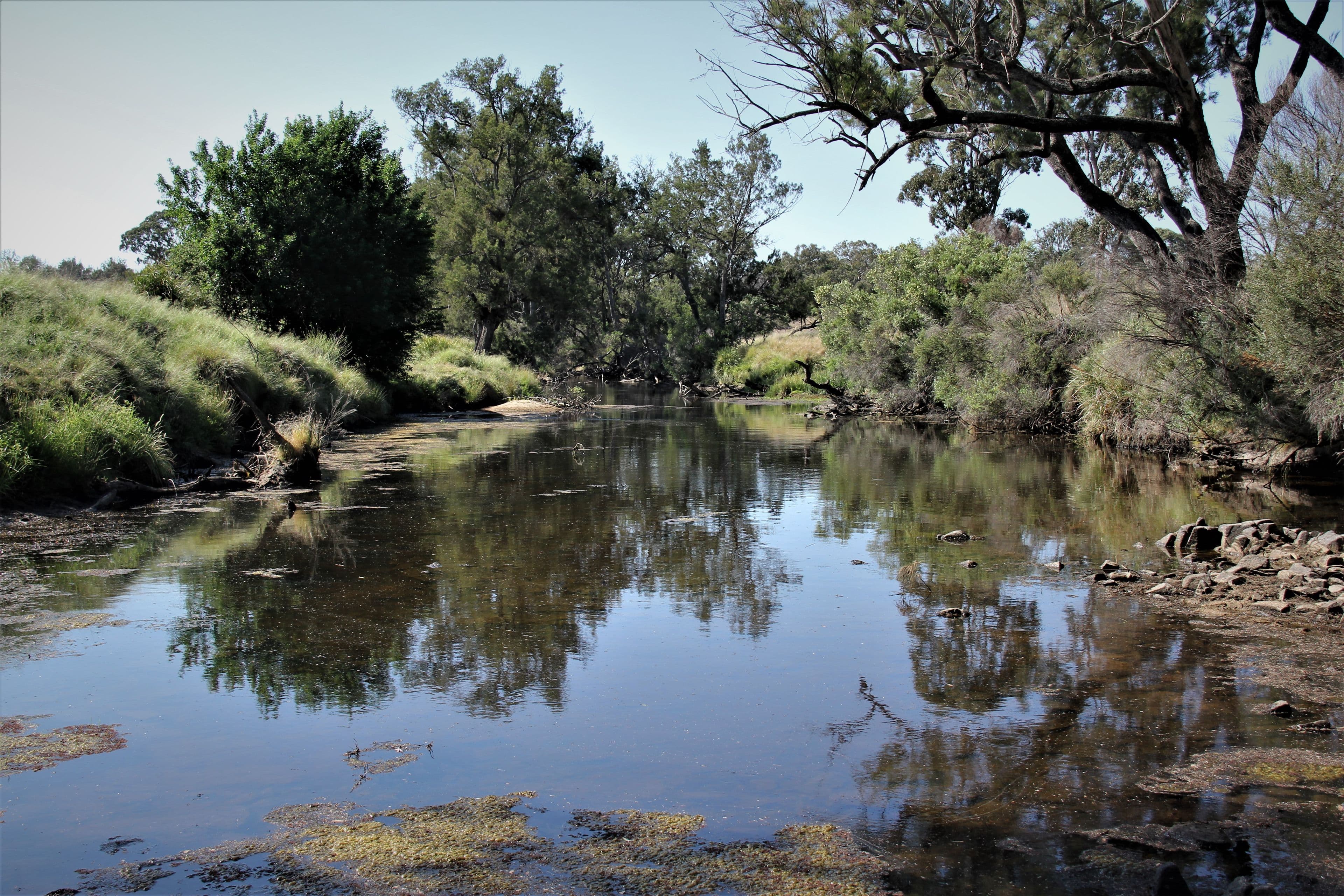 77 Tarban Loop Road, Tenterfield NSW 2372, Tenterfield - Thumbnail 6