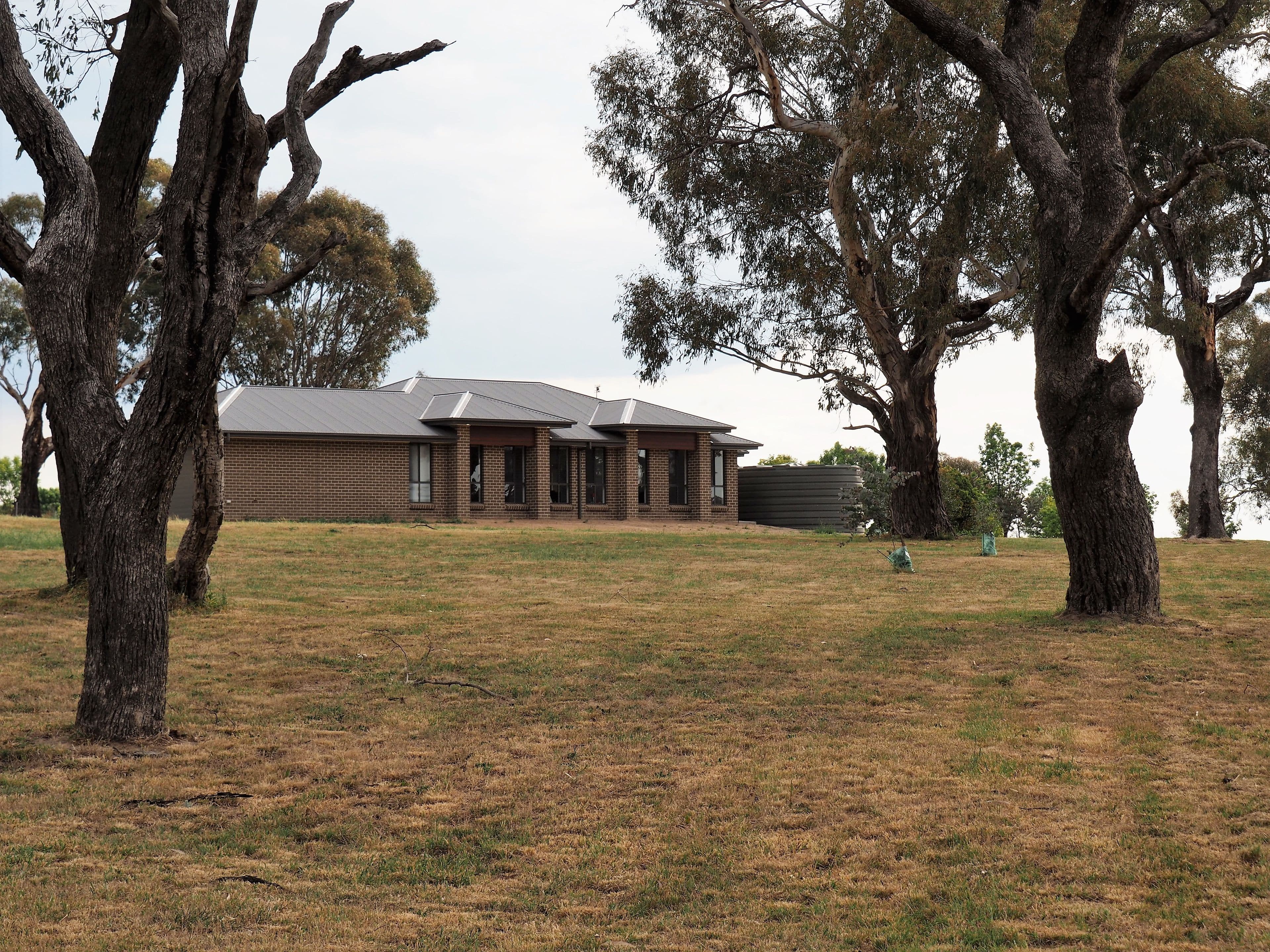 11 KOOMOORANG Road, Millthorpe NSW 2798, Millthorpe - Image 1