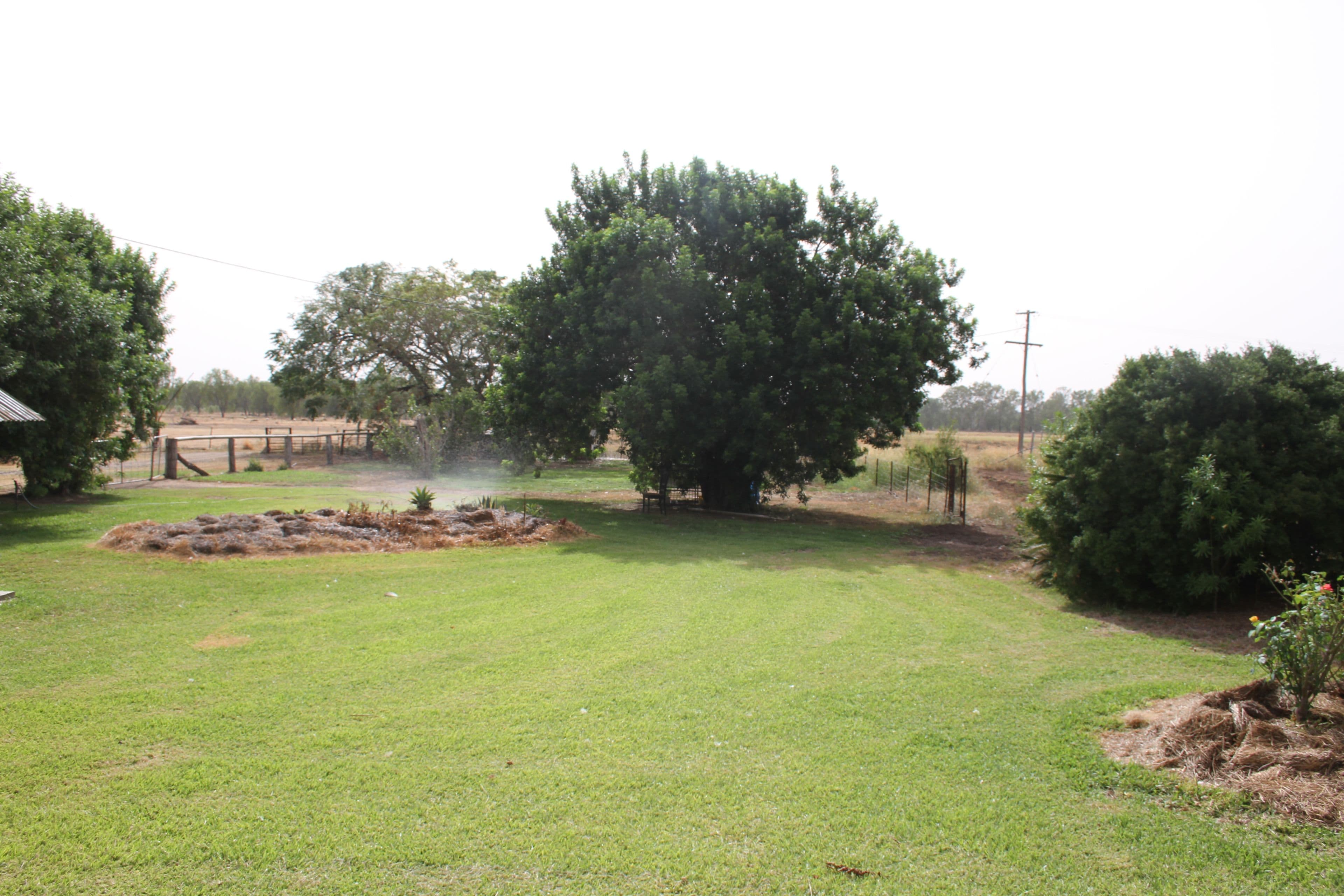 725 DEE RIVER Road, Dululu QLD 4702, Dululu - Thumbnail 3