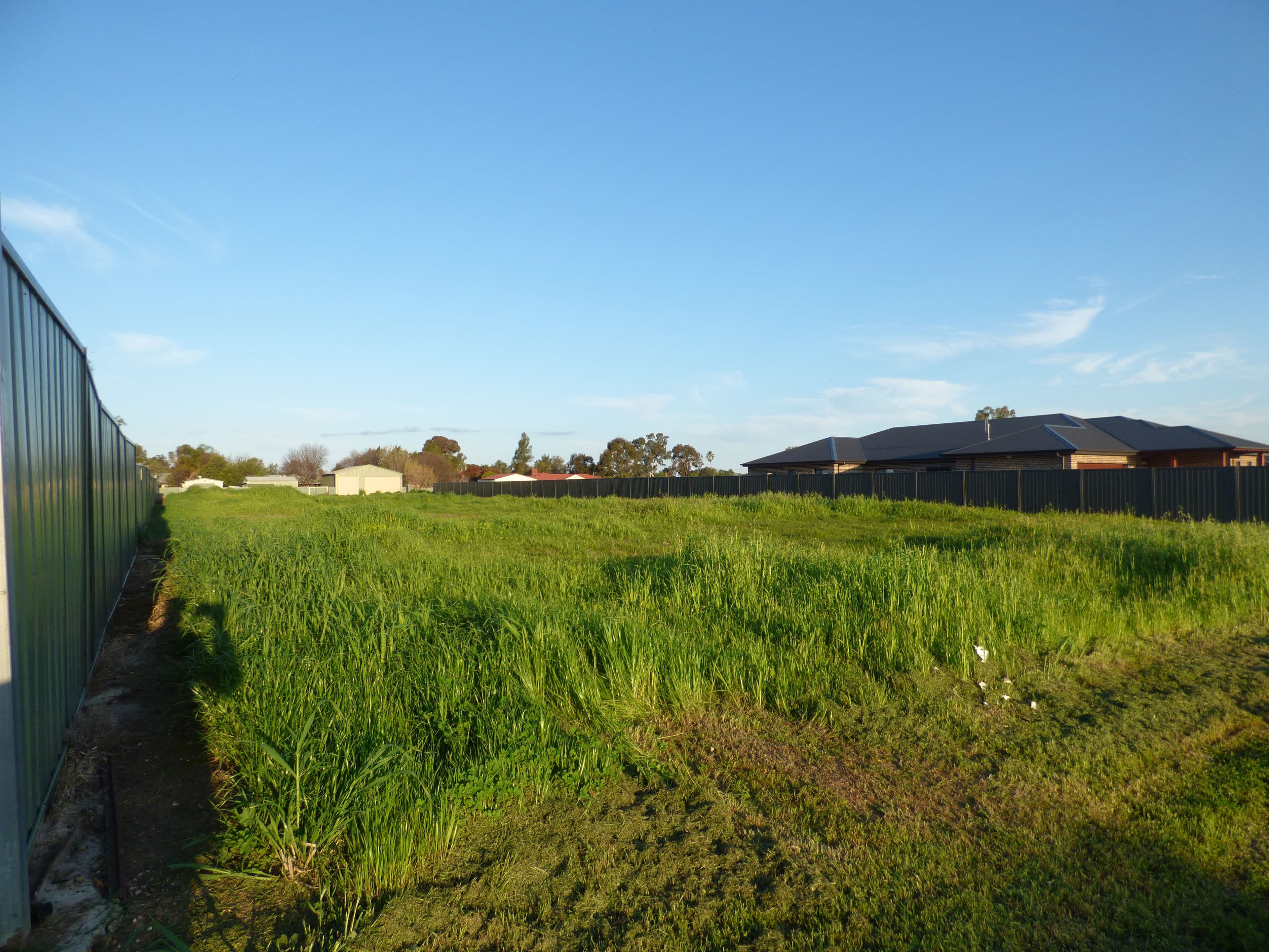 55 York Street, Forbes NSW 2871, Forbes - Thumbnail 7