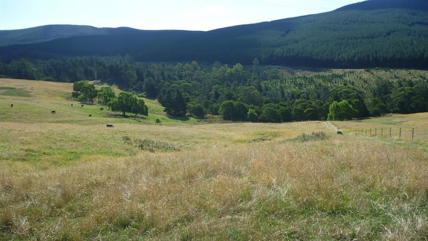 Lot 3 Old Tumbarumba Road, Tumut NSW 2720, Tumut - Thumbnail 6