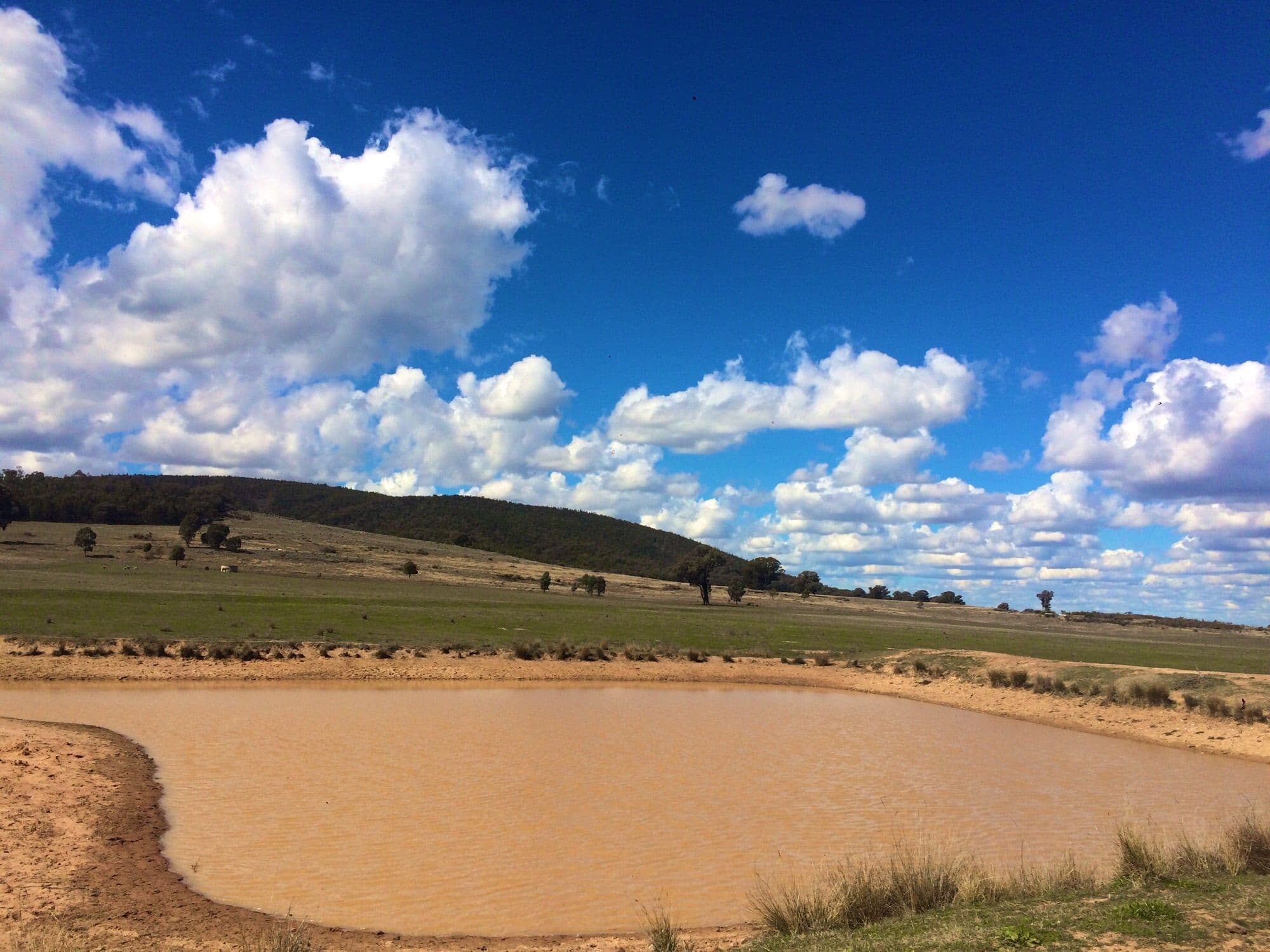 Lot 2 Fragar Road, Cowra NSW 2794, Cowra - Thumbnail 3