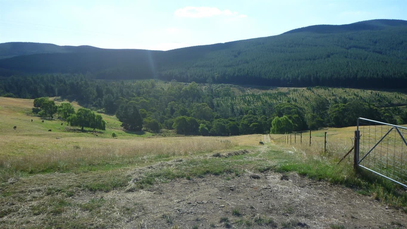 Lot 3 Old Tumbarumba Road, Tumut NSW 2720, Tumut - Thumbnail 5