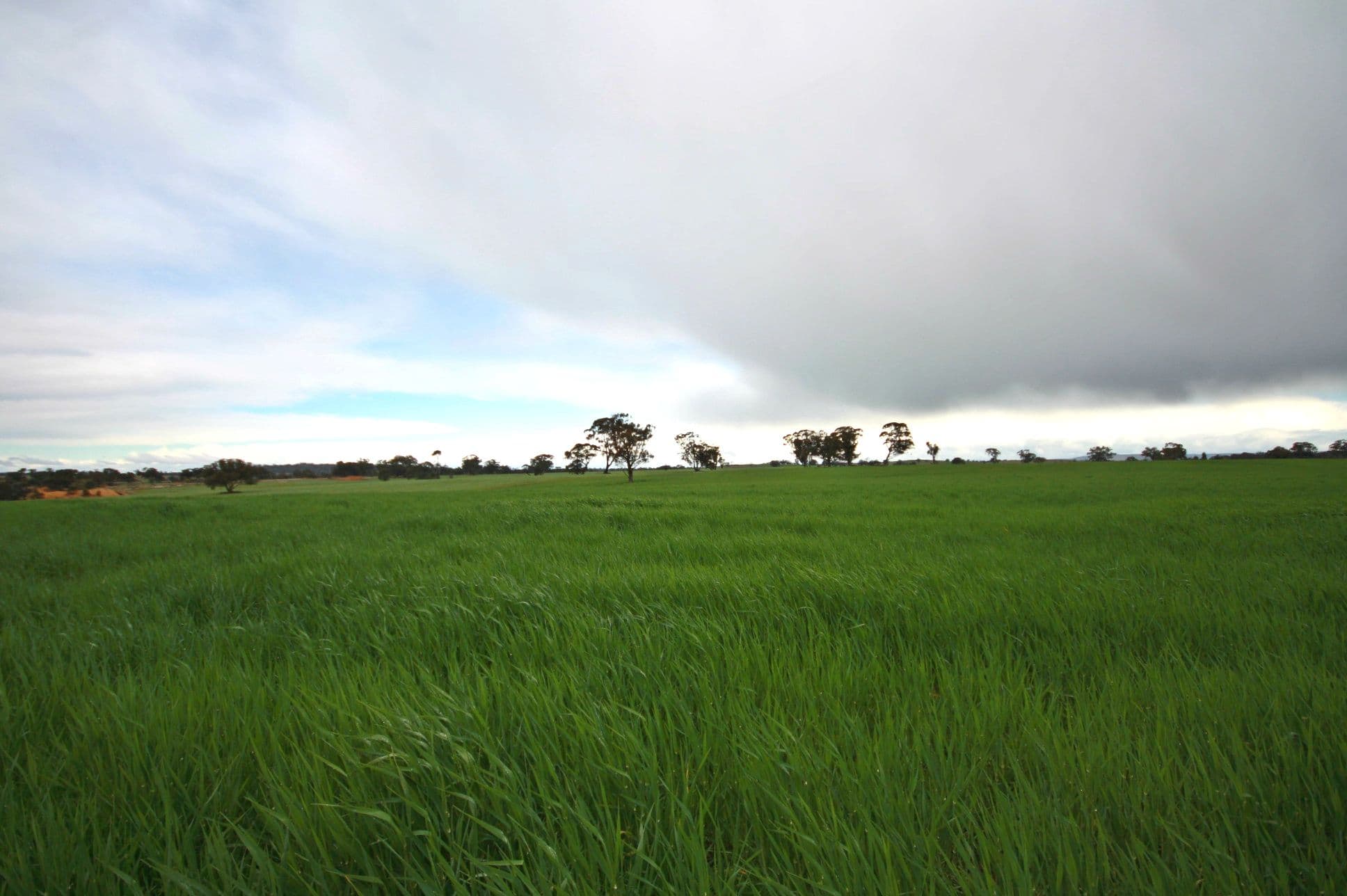 00 Kooreh Road, CARAPOOEE VIC 3477, Carapooee - Thumbnail 5
