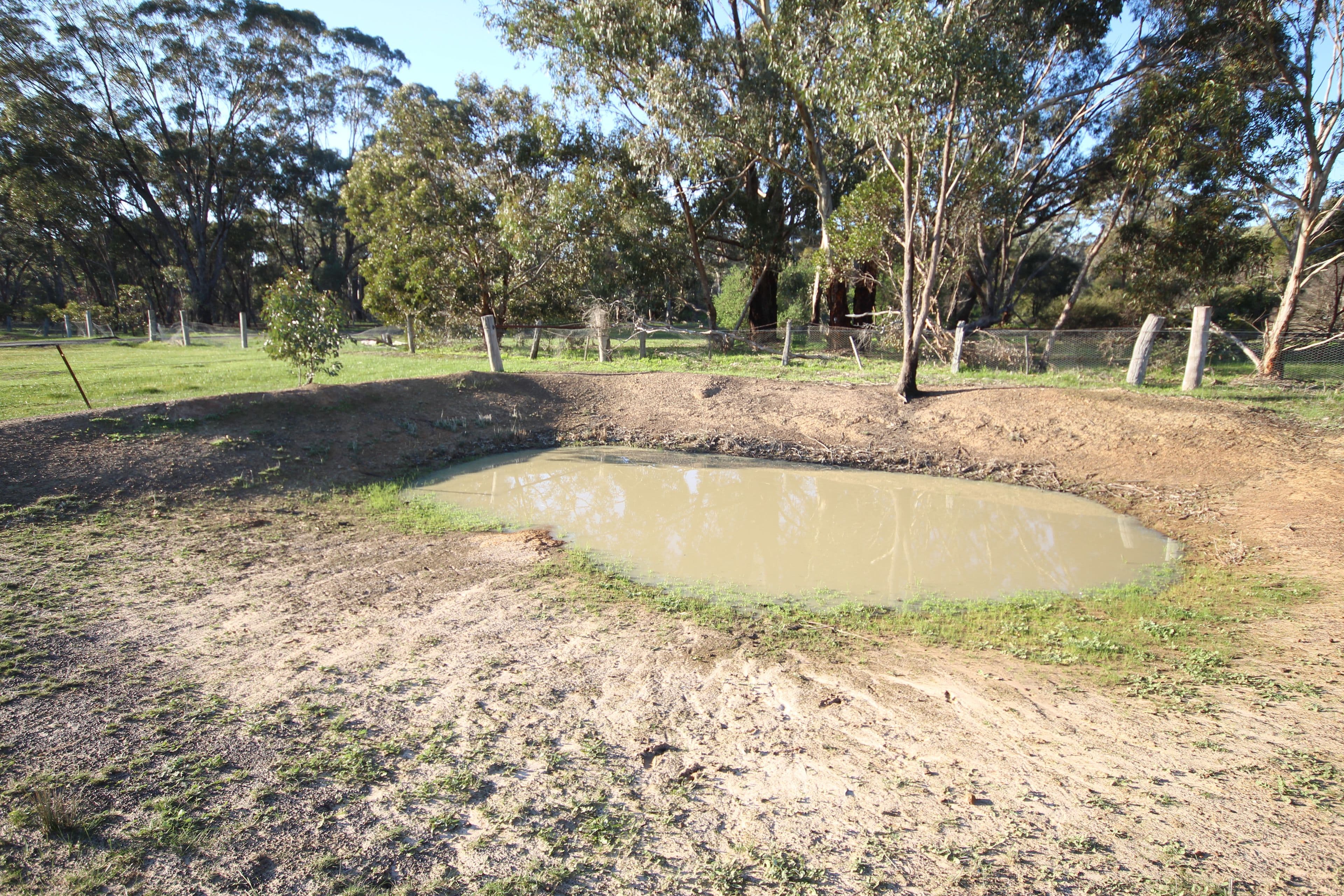 203-204 Western Highway, Deep Lead VIC 3381, Deep Lead - Thumbnail 3