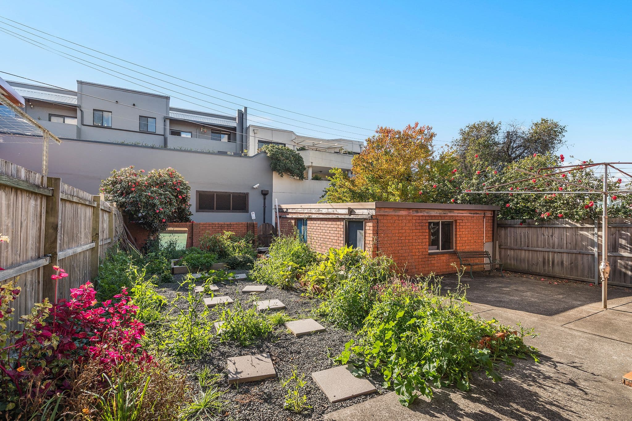 46 Corunna Road, Stanmore NSW 2048, Stanmore - Thumbnail 7