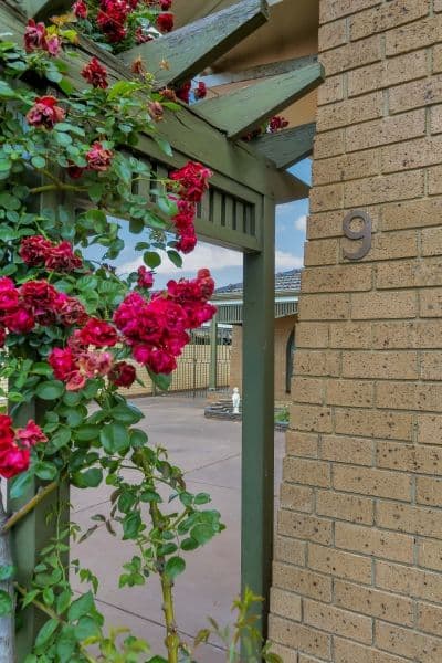 9 Frogmore Road, Kidman Park SA 5025, Kidman Park - Thumbnail 2