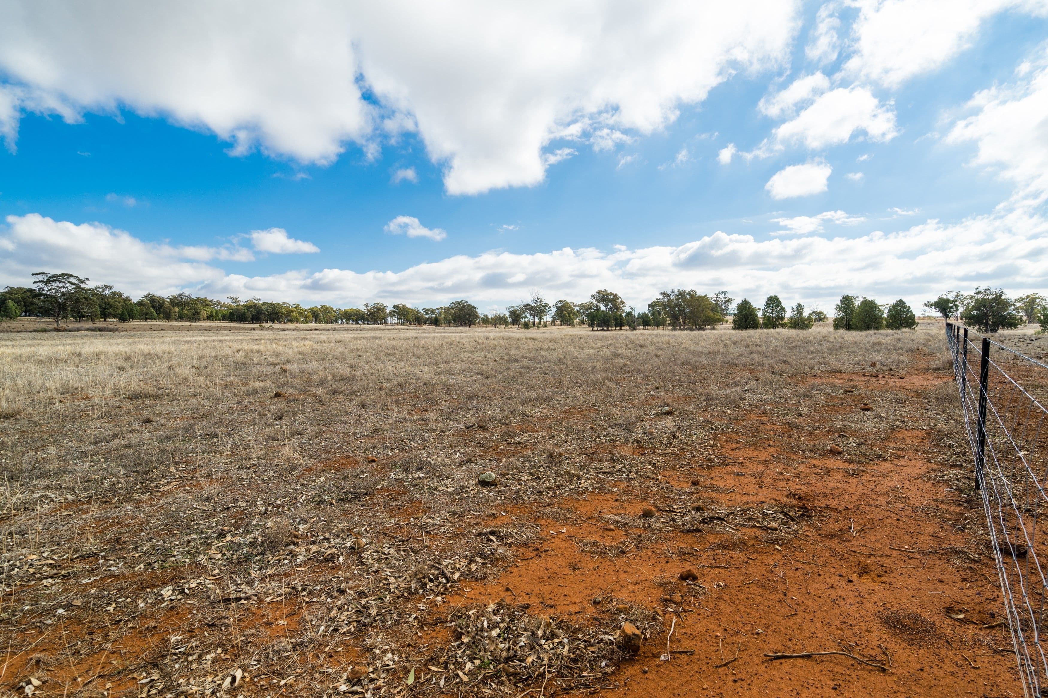72L Burraway Road, Dubbo NSW 2830, Dubbo - Thumbnail 3