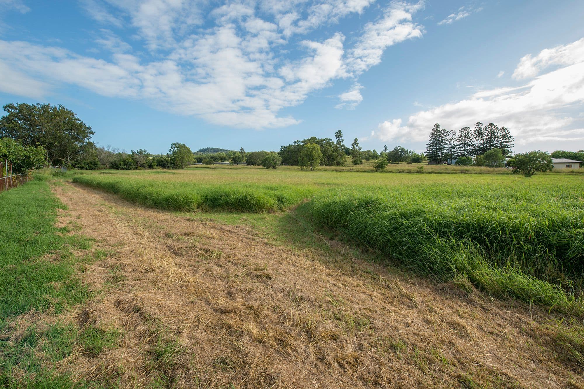 3A Trevlac Street, Rosewood QLD 4340, Rosewood - Thumbnail 4