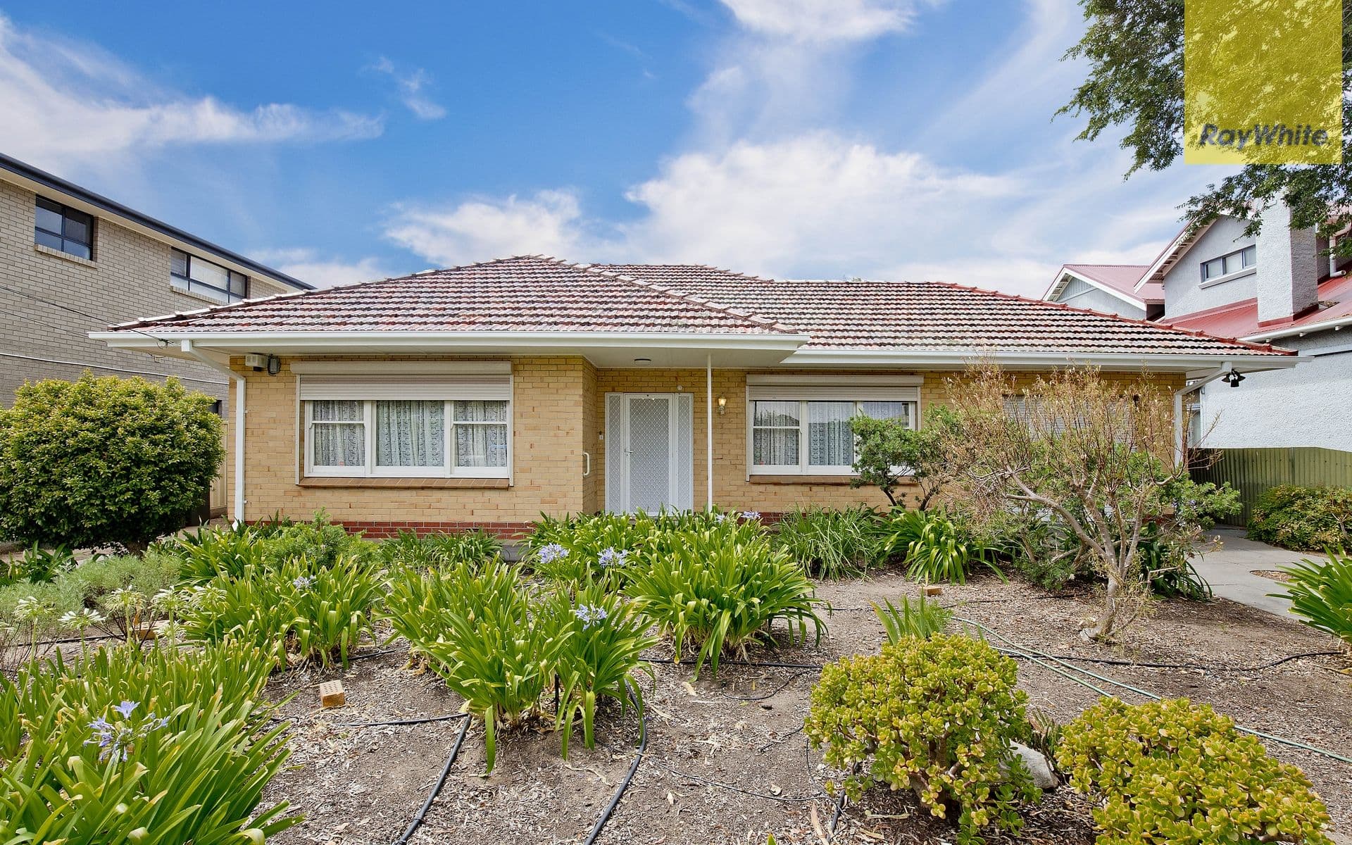 11 Arnold Street, Underdale SA 5032, Underdale - Thumbnail 6