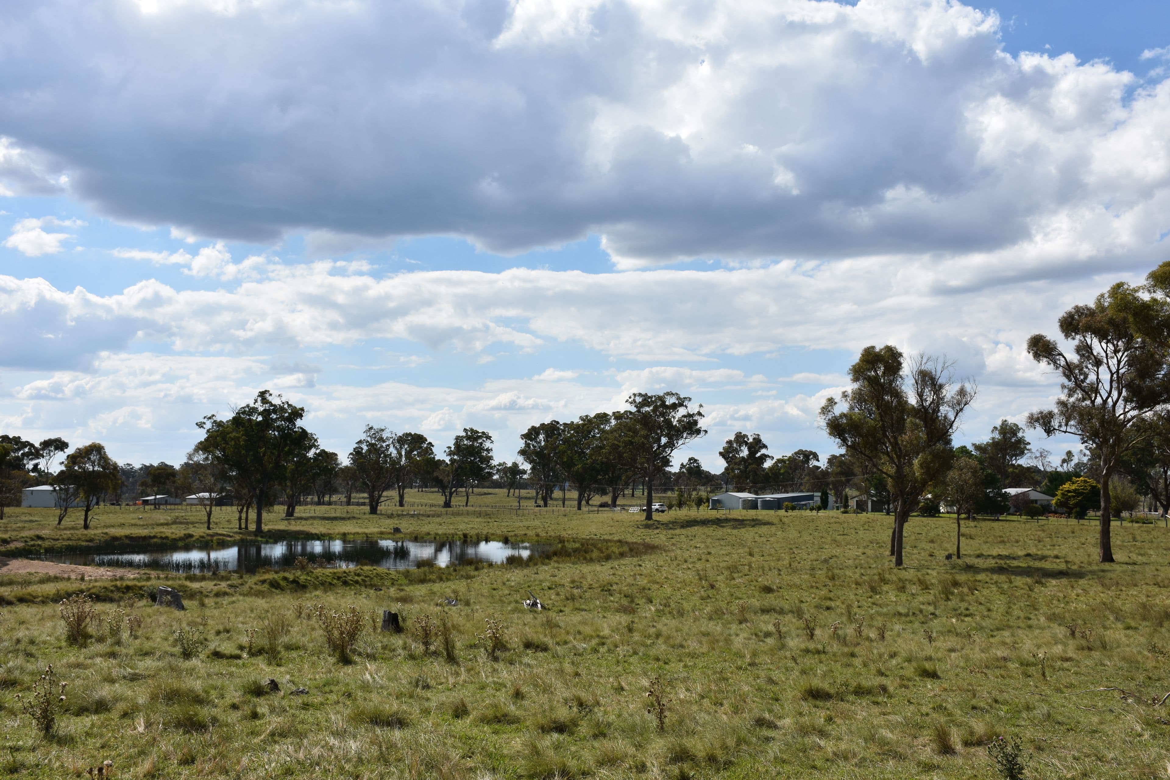 757 New England Highway, Glen Innes NSW 2370, Glen Innes - Thumbnail 2