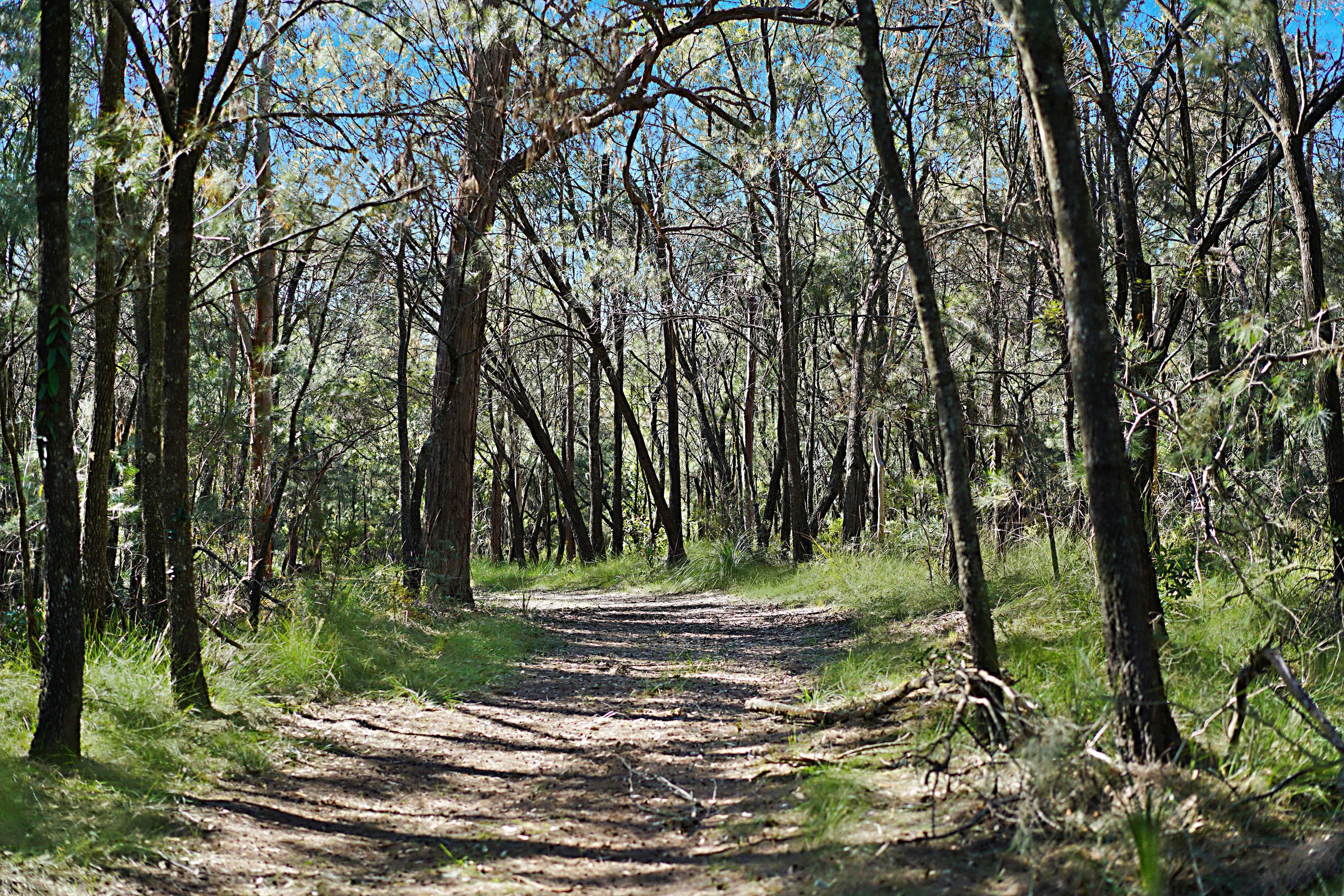 1187 Freemans Drive, Cooranbong NSW 2265, Cooranbong - Thumbnail 8