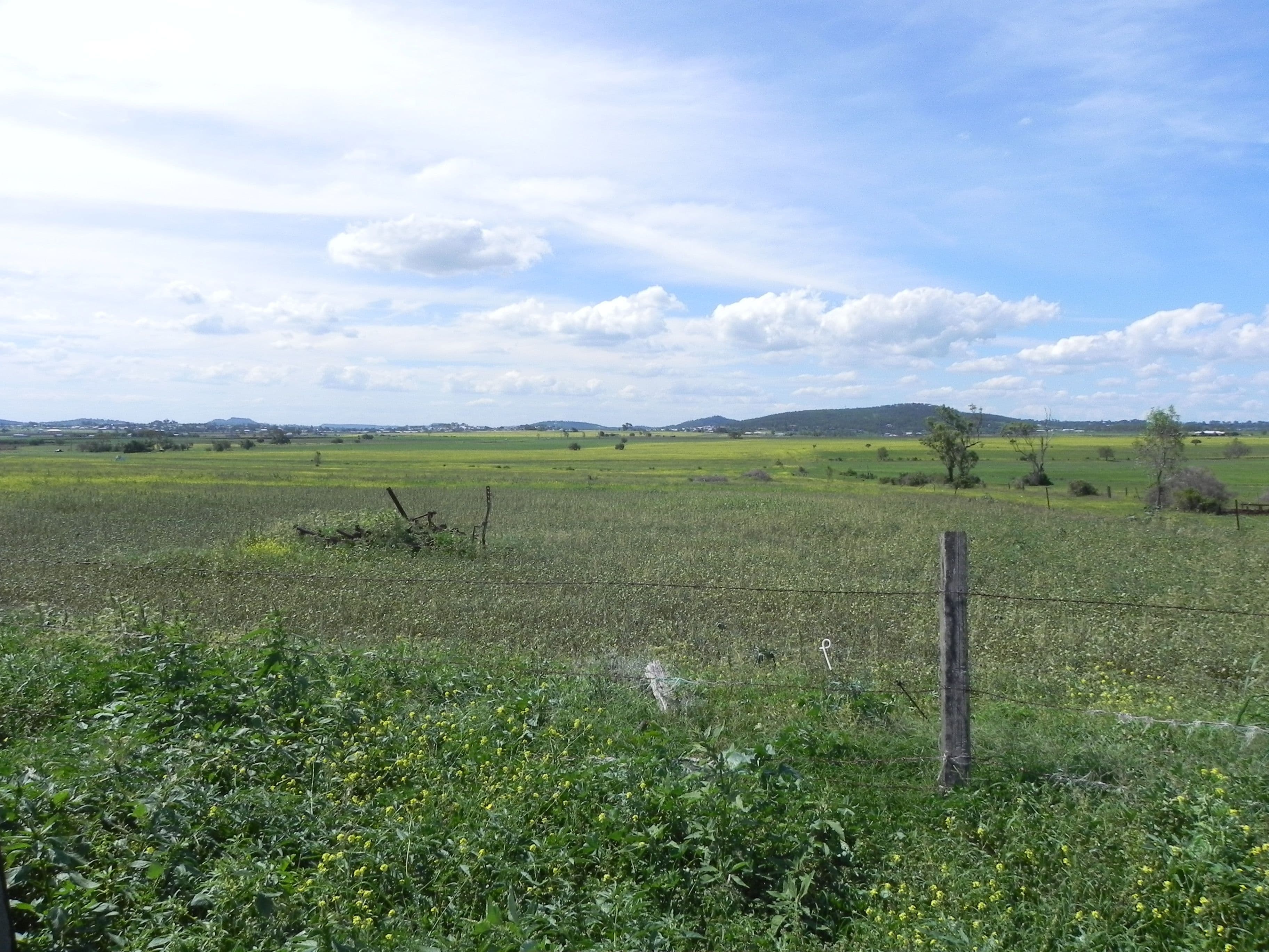 22 Allport Road, Wyreema QLD 4352, Wyreema - Thumbnail 7