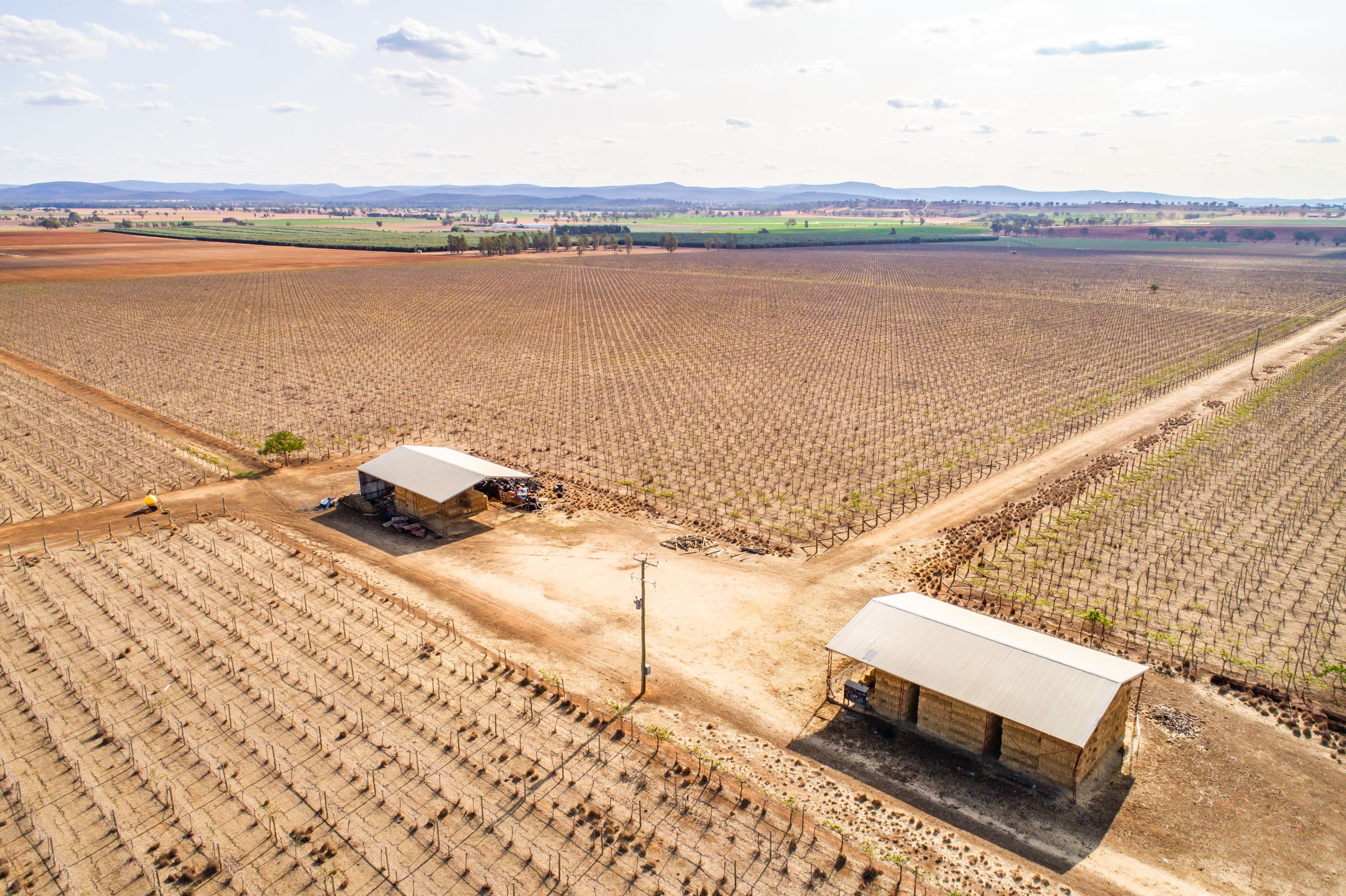 287 Mount Lewis Road, Canowindra NSW 2804, Canowindra - Thumbnail 3