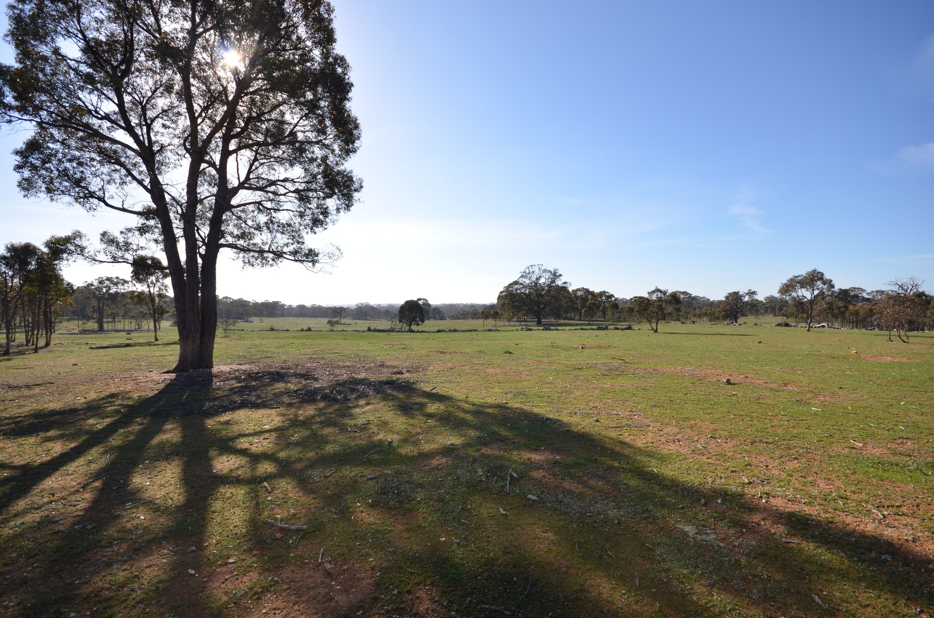 Lots 1 & 2 Lillicur West Road, Lamplough VIC 3352, Lamplough - Thumbnail 6