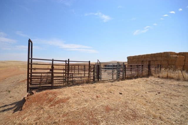 2 Lots RM Williams Highway, Andrews SA 5454, Andrews - Thumbnail 4