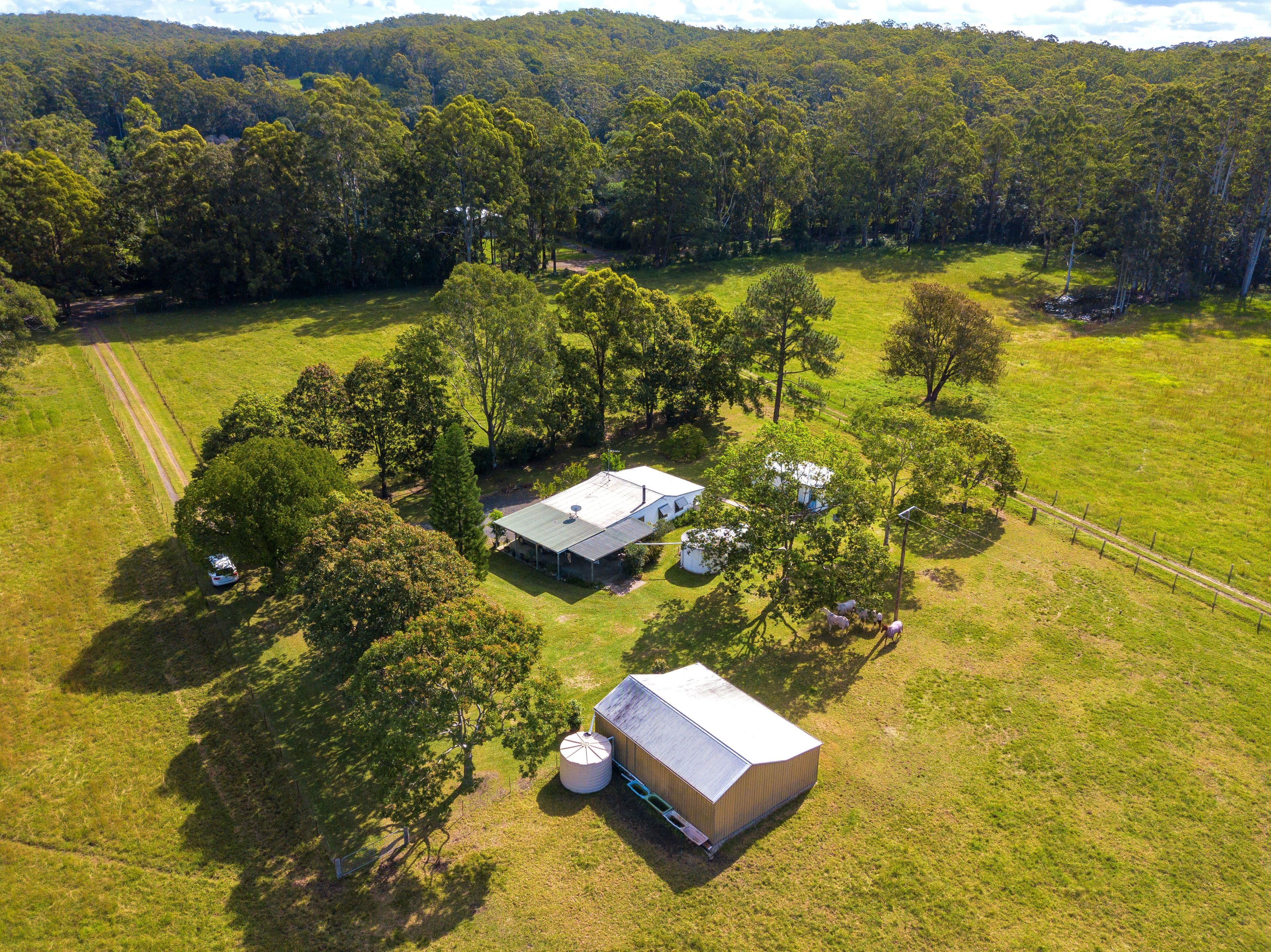 351 Half Chain Road Koorainghat via, Taree NSW 2430, Taree - Thumbnail 3