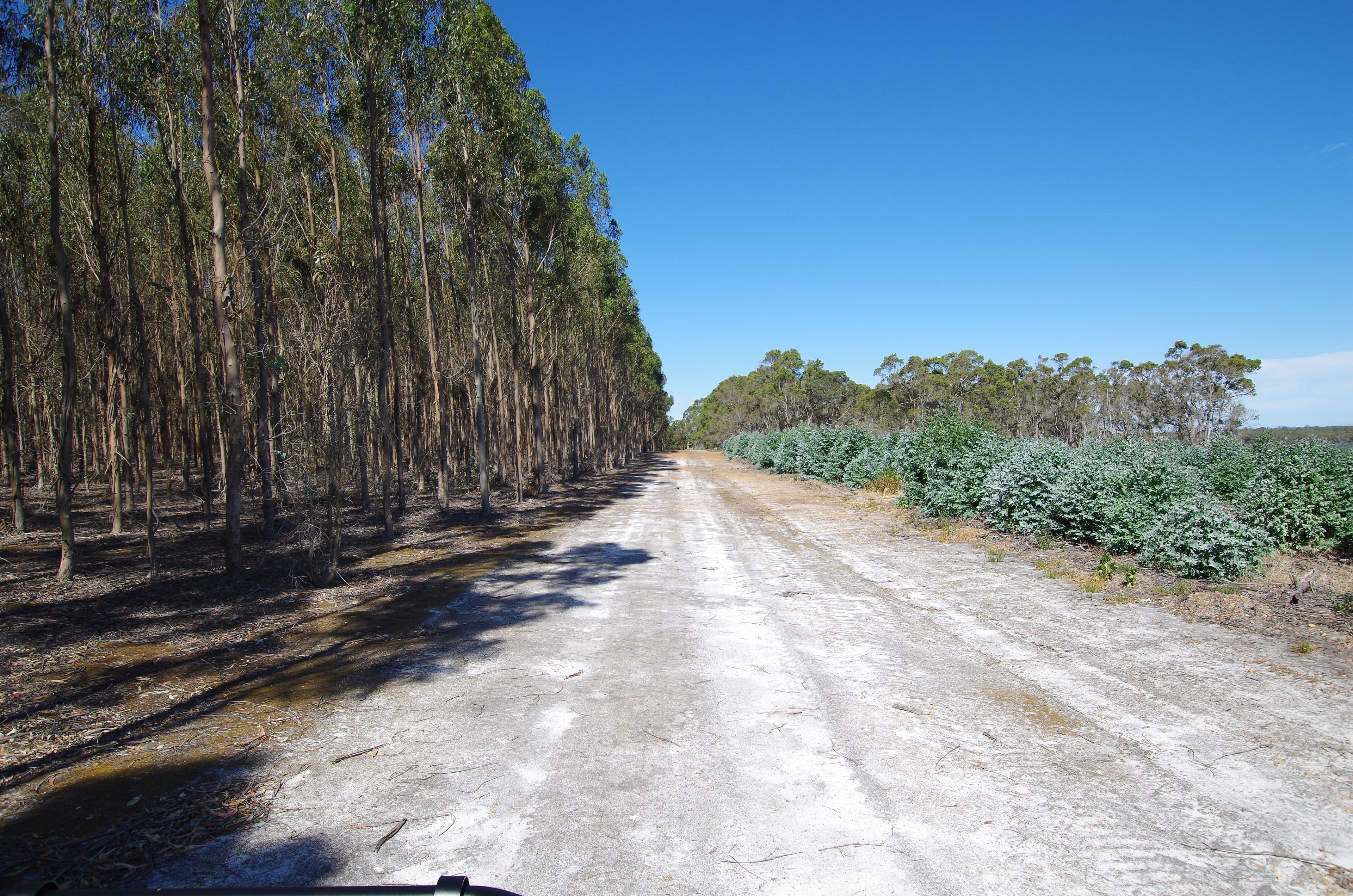 722 Watermans Road, Narrikup WA 6326, Narrikup - Thumbnail 2
