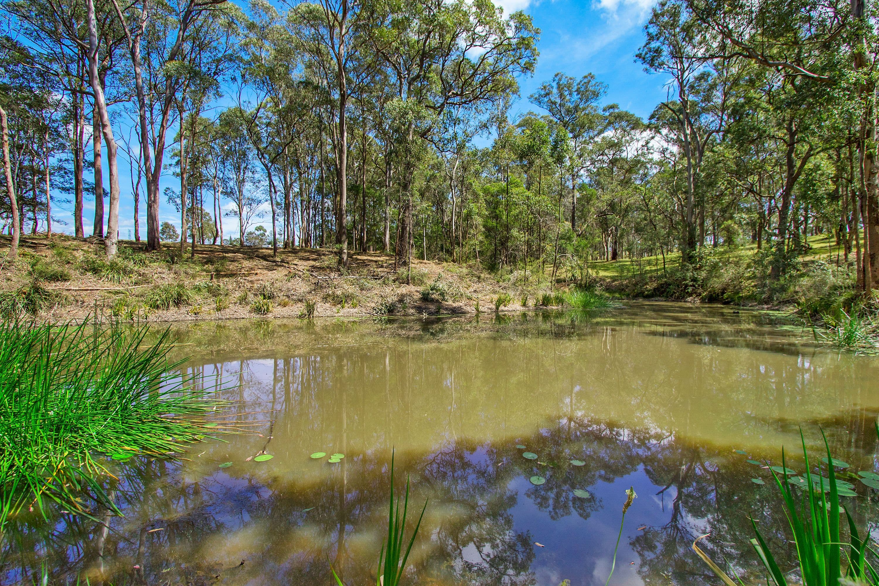 405 Slopes Road, Kurmond NSW 2757, Kurmond - Thumbnail 4