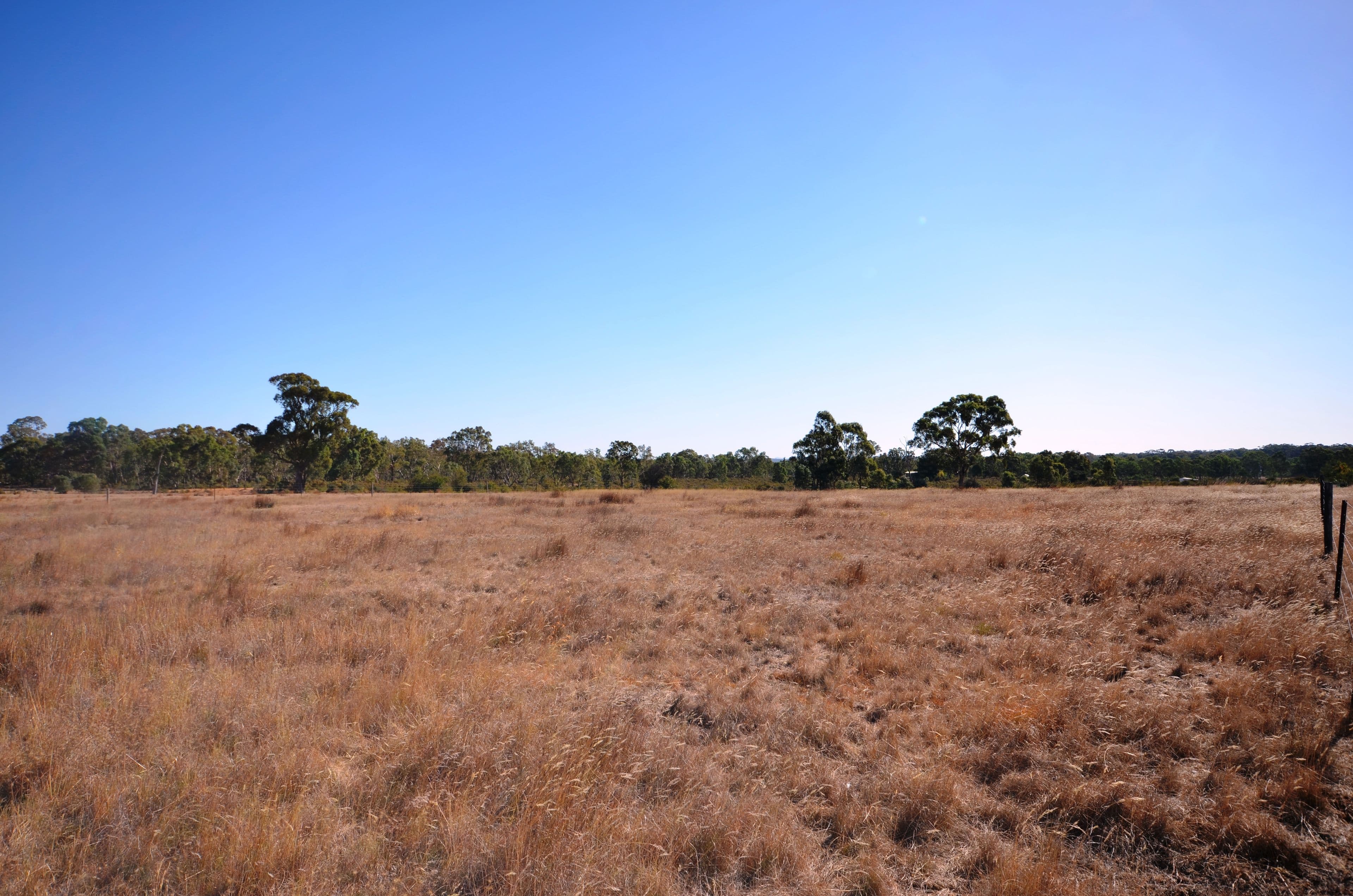 115 Halls Road, Talbot  Victoria  3371, Australia, Talbot - Image 1