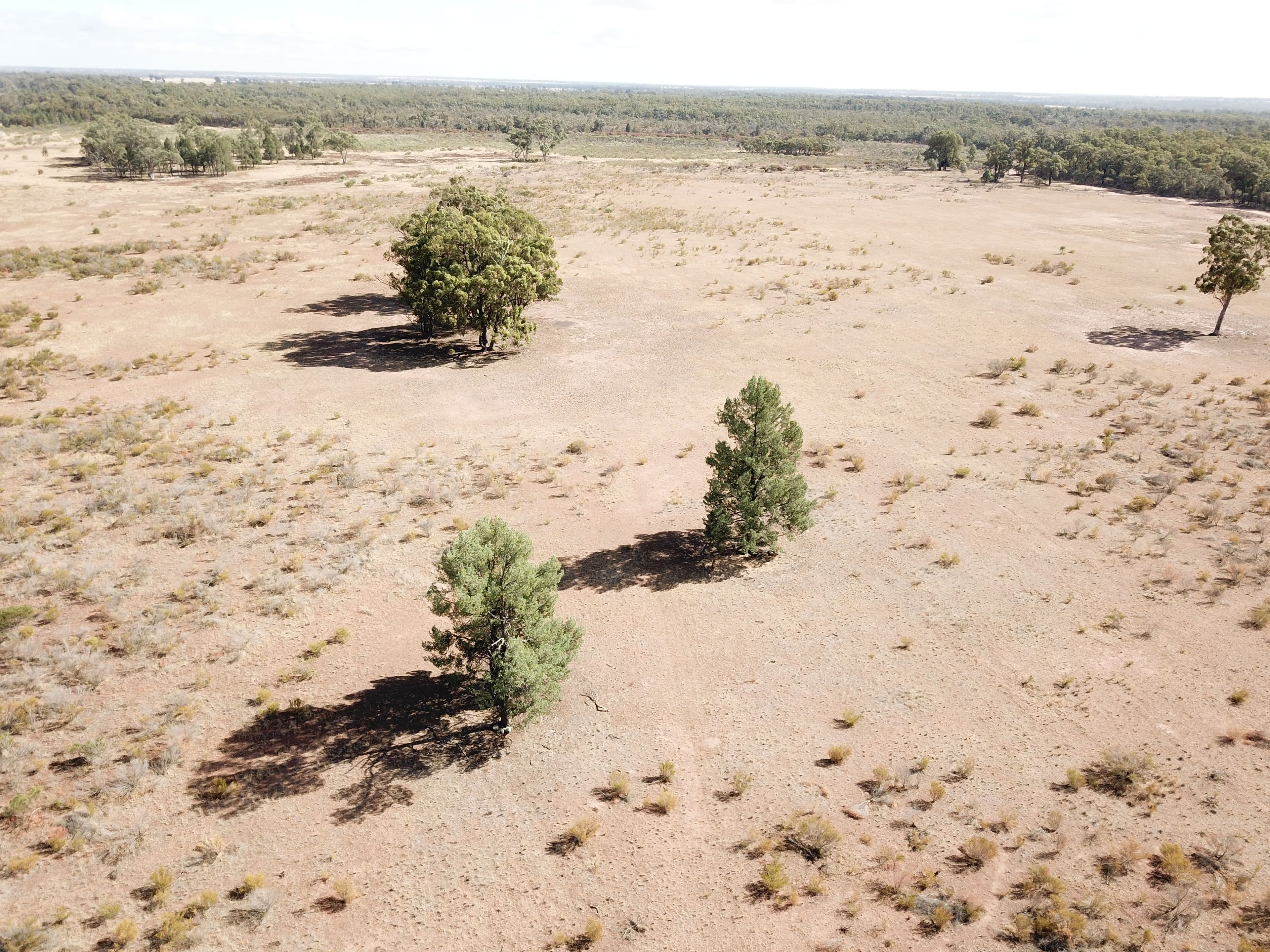 'Hillside', 153R Mogriguy Road, Mogriguy NSW 2830, Mogriguy - Thumbnail 3