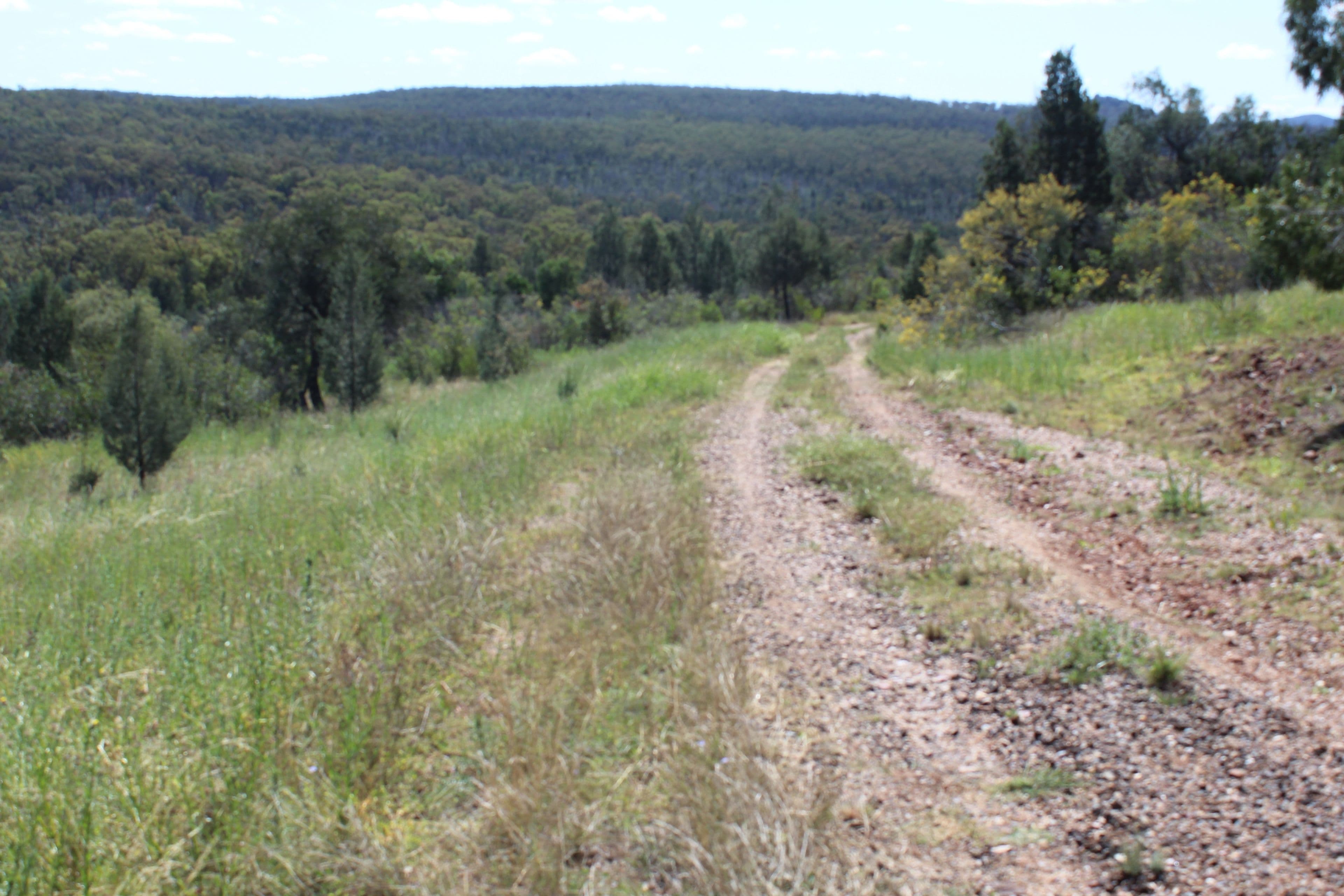 1633 Wandobah Road, Gunnedah NSW 2380, Gunnedah - Thumbnail 4