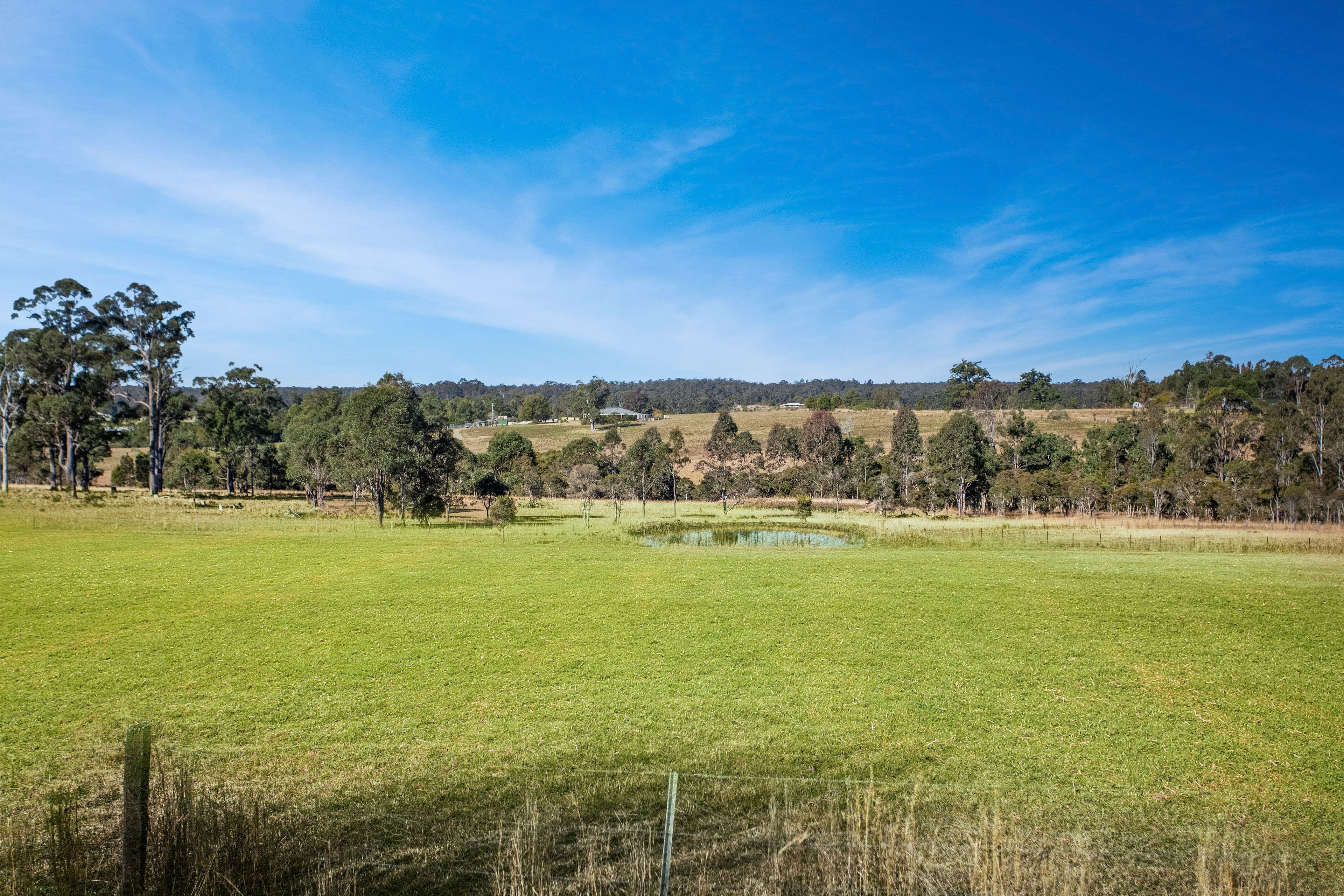1128 Comboyne Road, Wingham NSW 2429, Wingham - Thumbnail 5