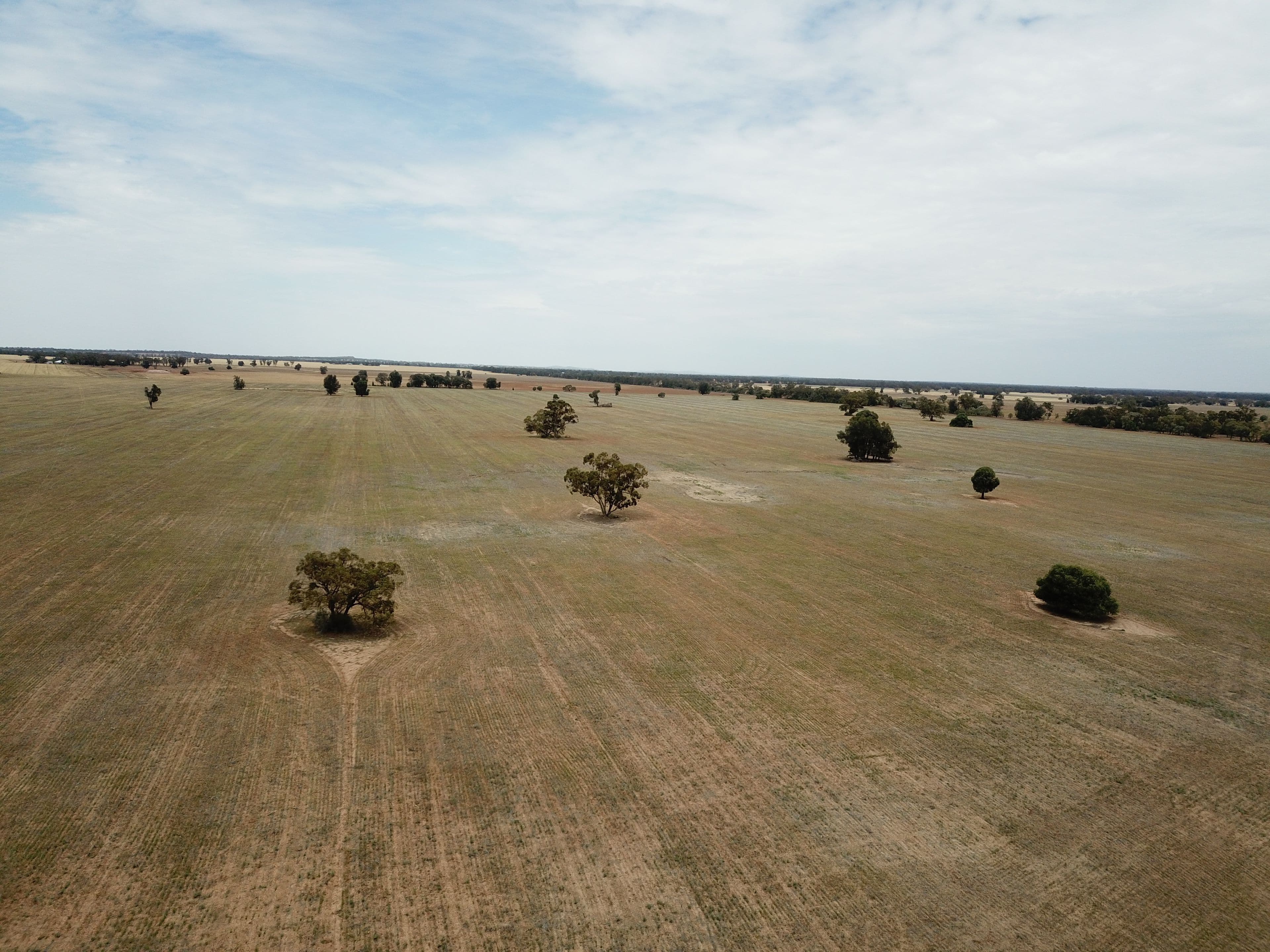 'Ossory' Aggregation, Narromine NSW 2821, Narromine - Image 1