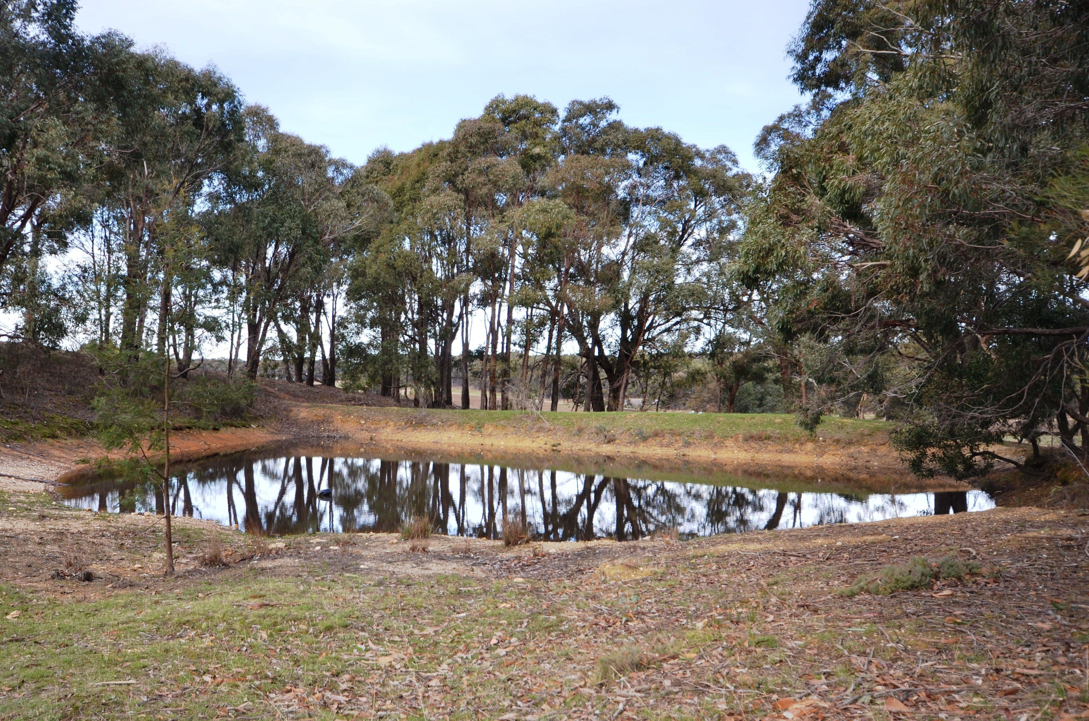 632 Chute-Waterloo Road, Waterloo VIC 3373, Waterloo - Thumbnail 2