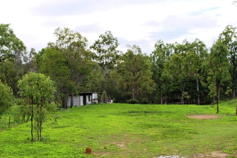 Mareeba QLD 4880, Mareeba - Thumbnail 7