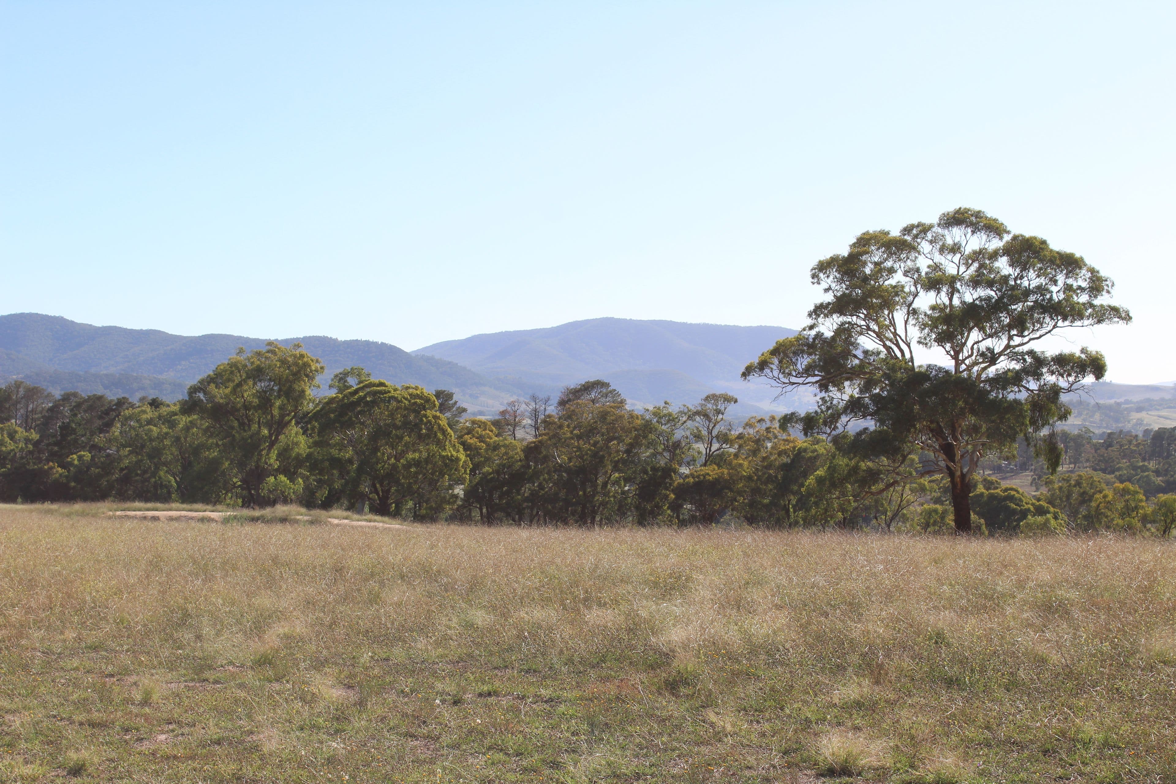 O'Connell NSW 2795, O'Connell - Thumbnail 3