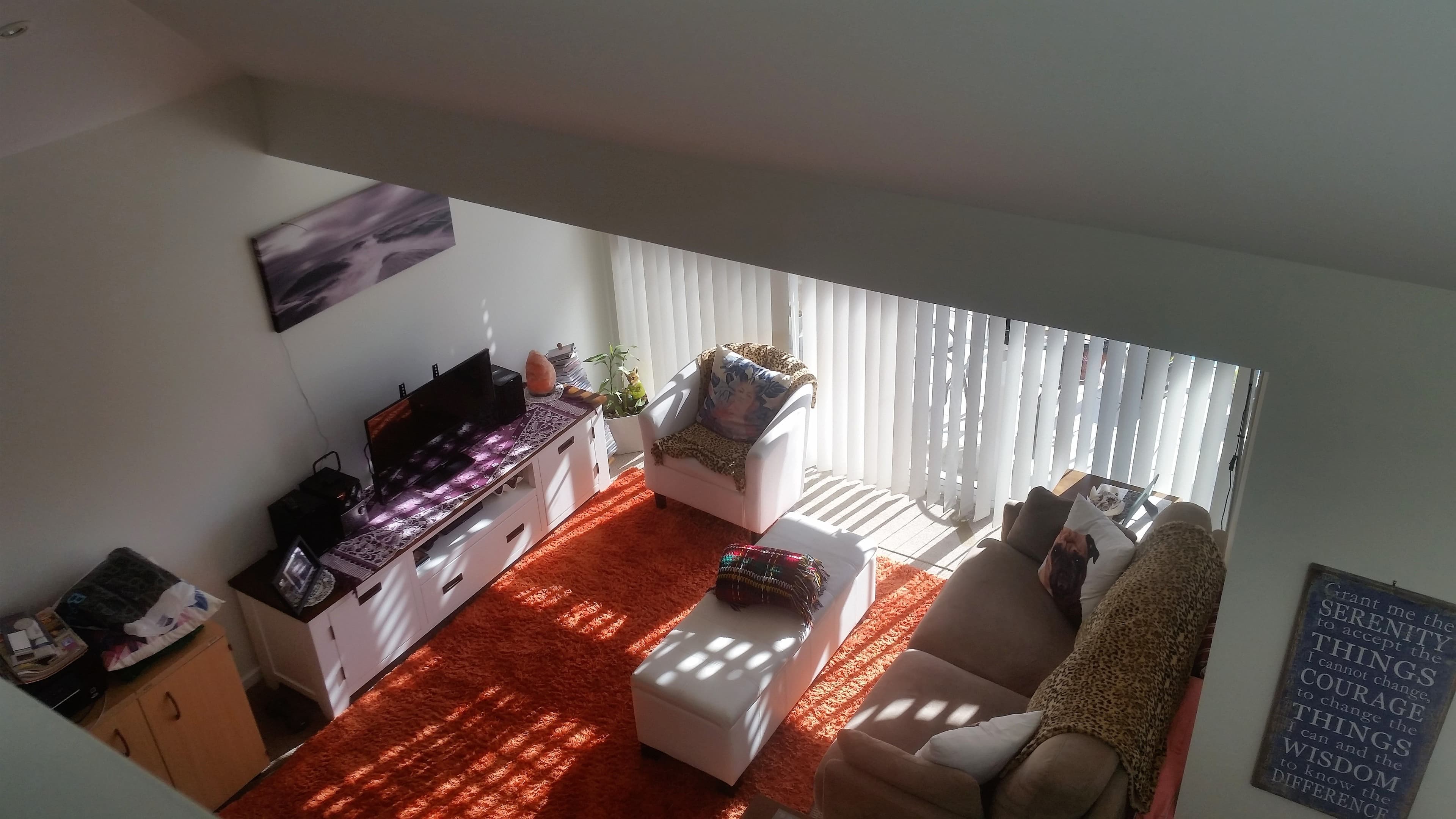46 Jones Avenue, Mollymook Beach NSW 2539, Mollymook Beach - Thumbnail 4